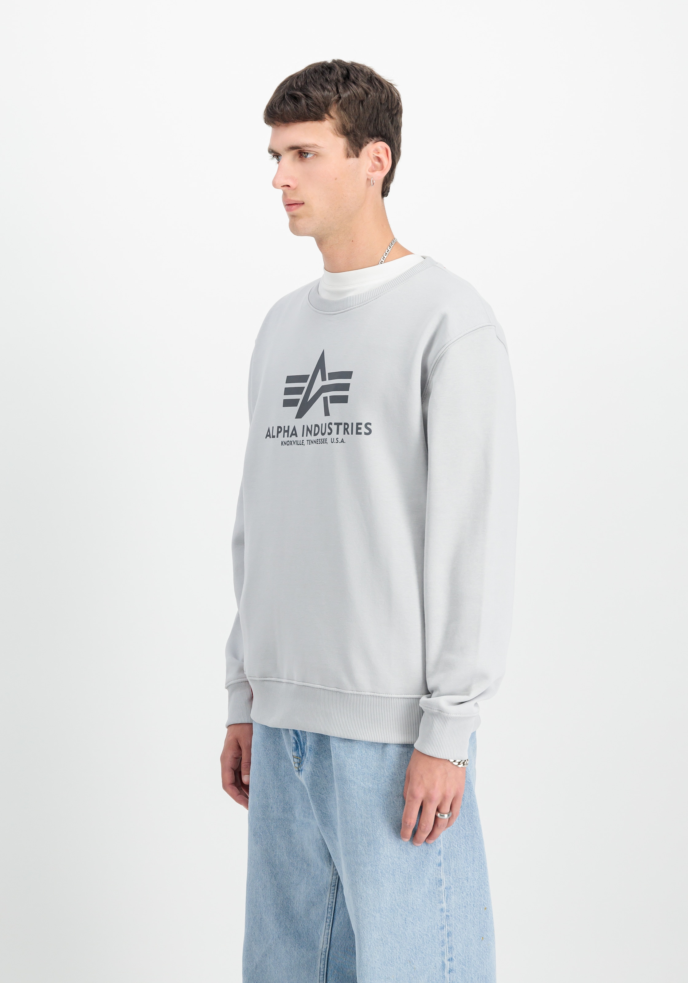 Alpha Industries Sweatshirt »Basic Sweater«, Baumwollmischung, regular fit
