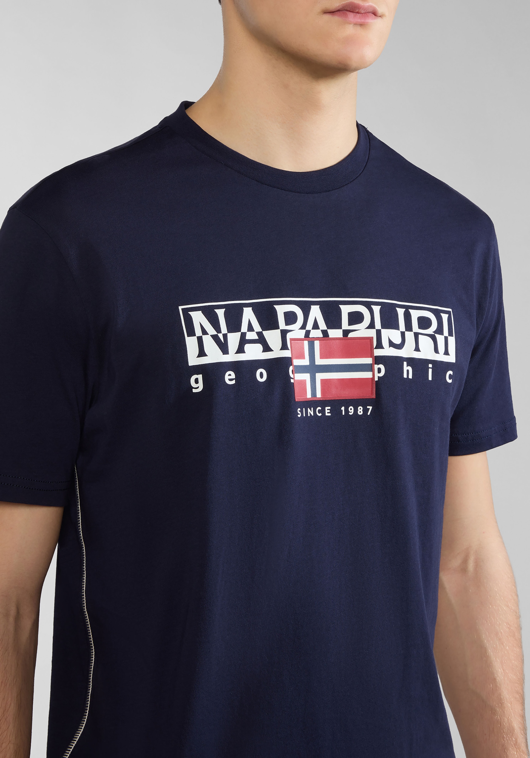 Napapijri T-Shirt »S-AYLMER«