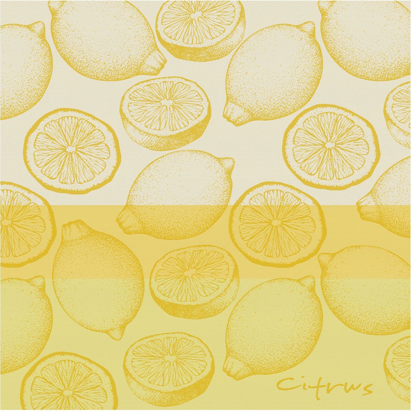 DDDDD Geschirrtuch »Citrus«, (Set, 4 tlg., Combi-Set: bestehend aus 2x Küchentuch + 2x Geschirrtuch)