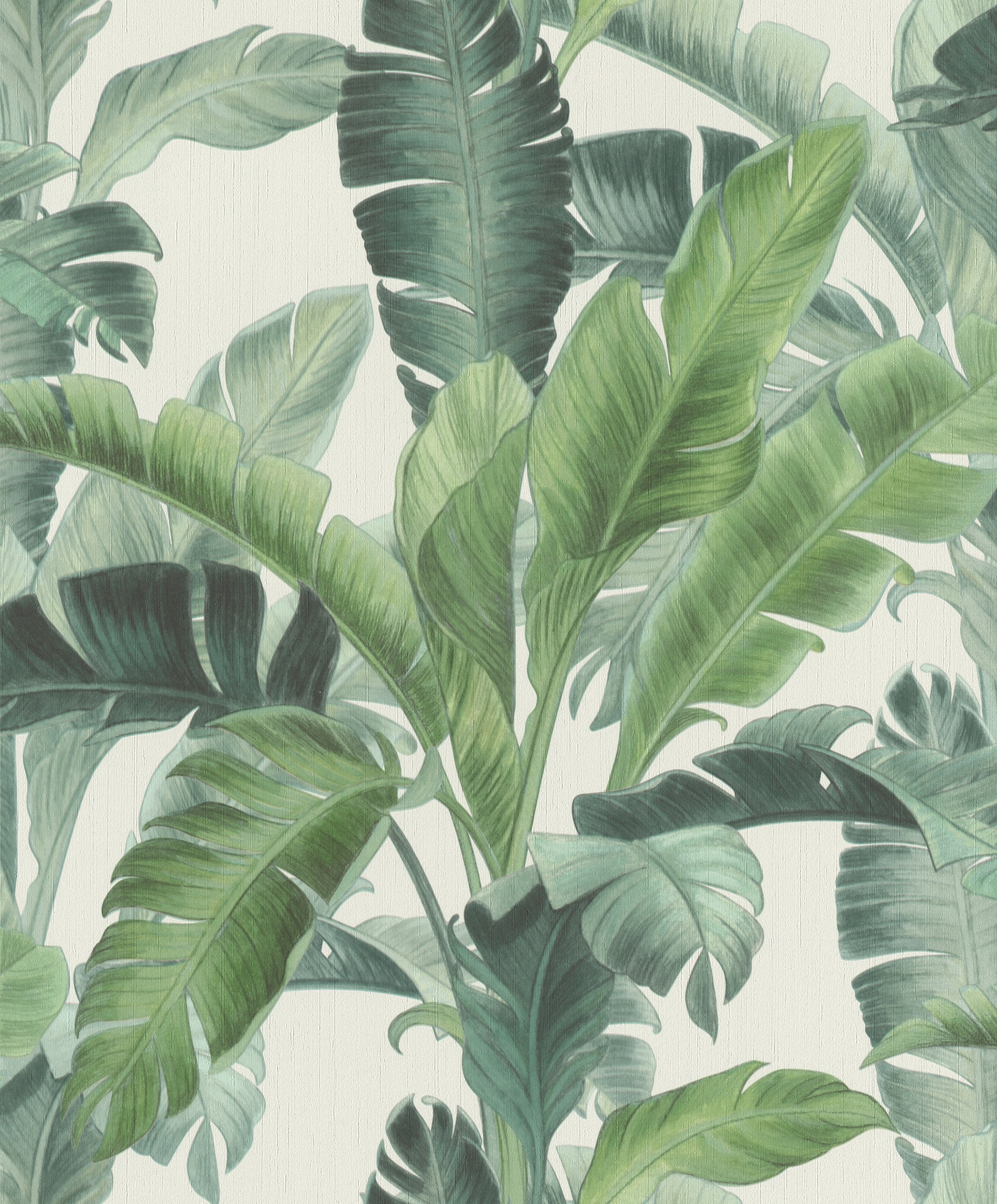 BARBARA Home Collection Vliestapete »BARBARA Home Collection II«, gemustert-botanisch