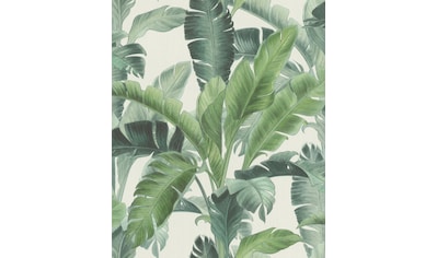 Rasch Vliestapete »BARBARA Home Collection II«, gemustert-botanisch kaufen