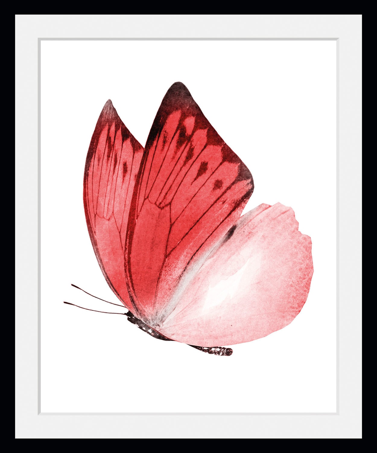 queence Bild »Liana«, Schmetterlinge, (1 St.)