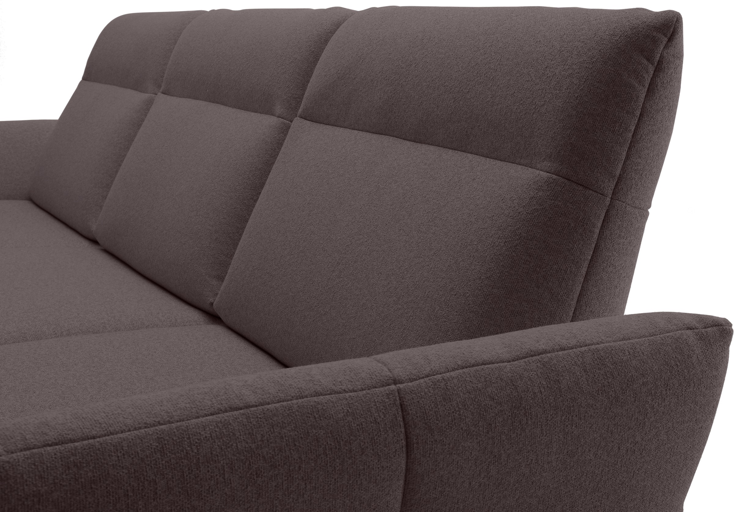 Creation BY ROLF BENZ Ecksofa »CR.460« Sockel in Eiche, Winkelfüße in Umbragrau, Breite 338 cm