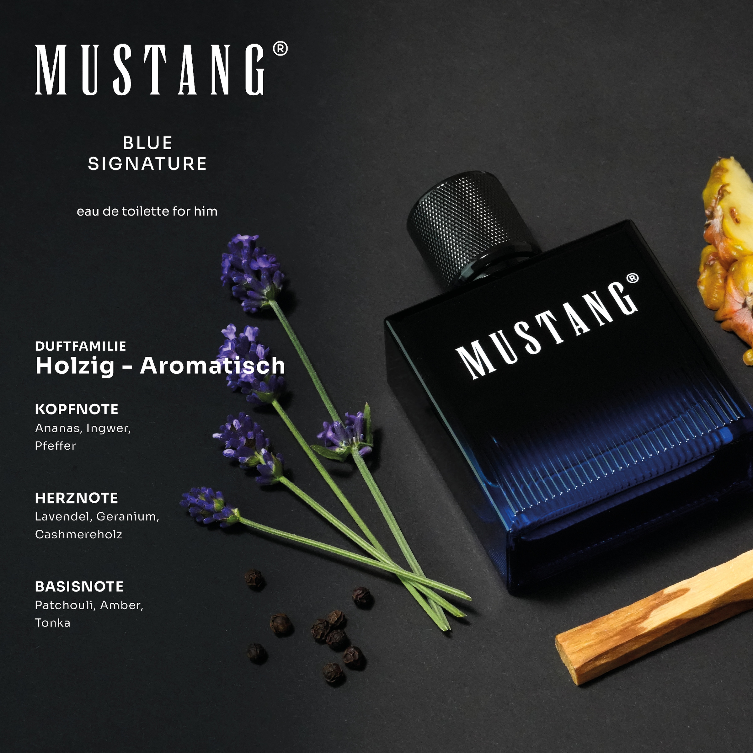MUSTANG Eau de Toilette »MUSTANG BLUE SIGNATURE for him EdT 50ml«