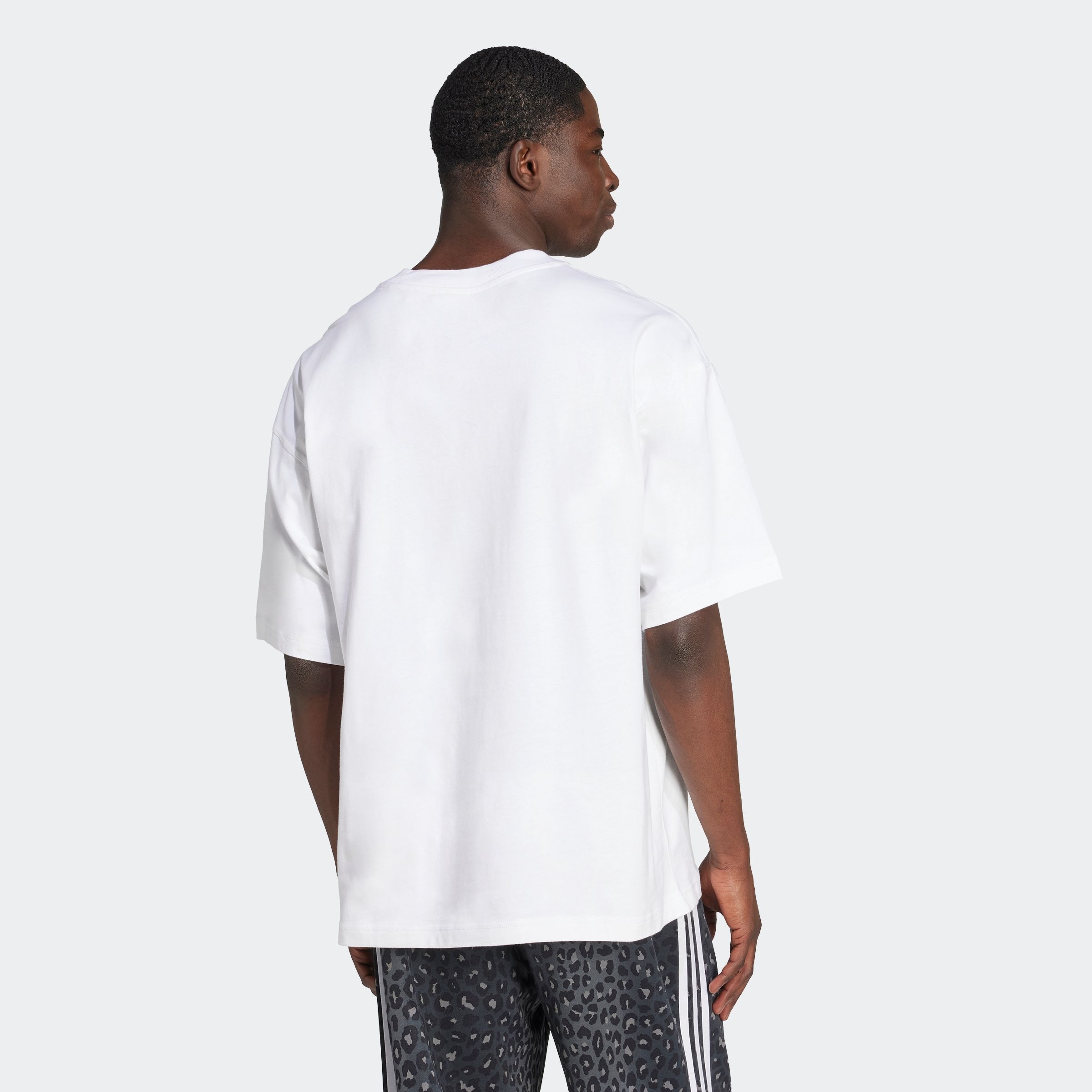 adidas Originals T-Shirt »GRAPHIC OS SS T«