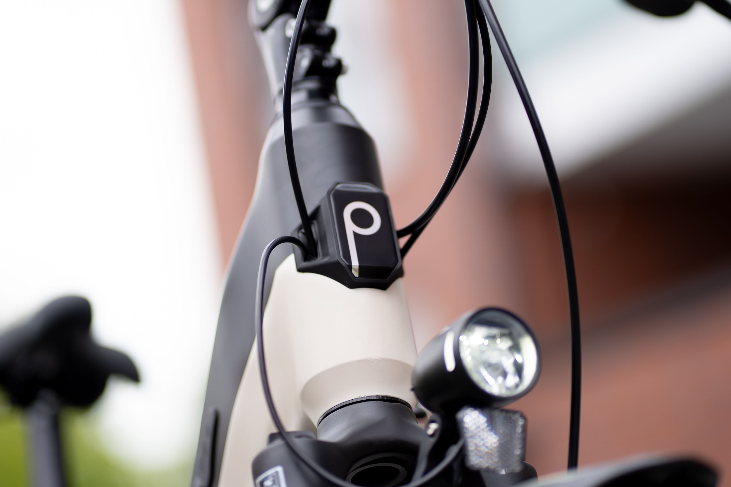 Prophete »Geniesser 4.8« 7 Gang Shimano Nexus Schaltwerk Nabenschaltung Mittelmotor 250 W Pedelec, 10 Jahre Garantie auf den Rahmen