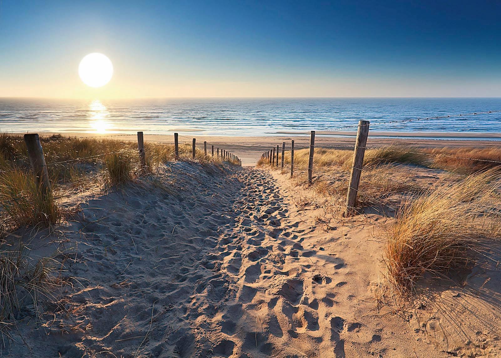 Deco-Panel »Dünenweg zum Meer«