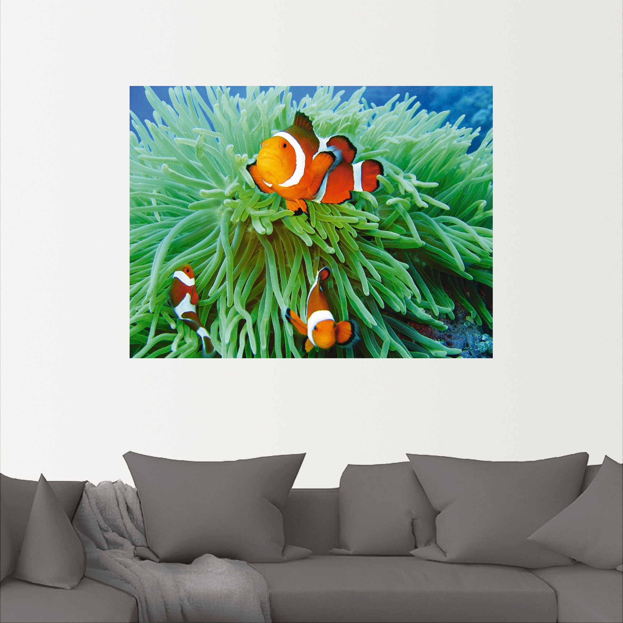 Artland Wandbild »Finde Nemo«, Wassertiere, (1 St.), als Poster, Wandaufkleber in verschied. Größen