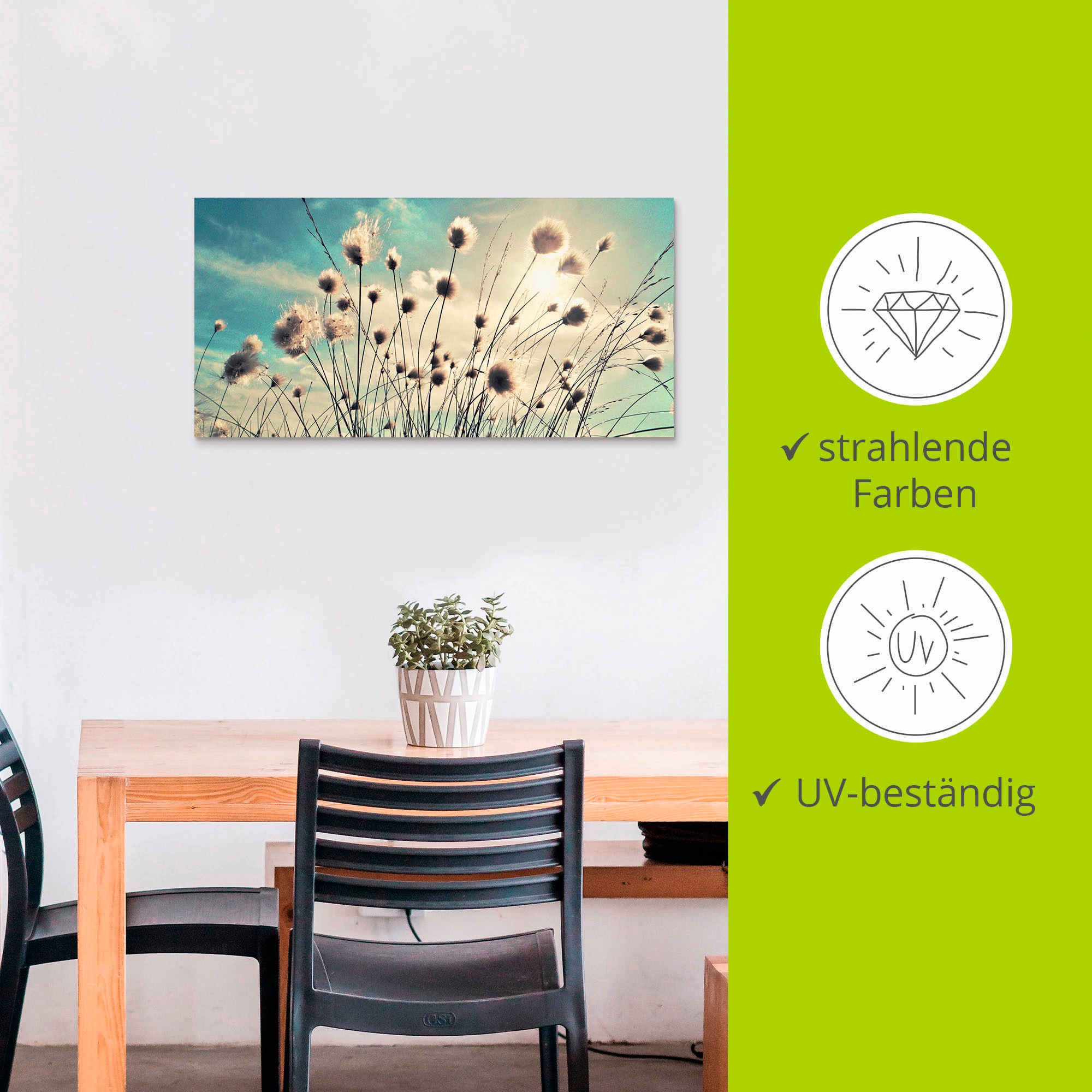 Artland Wandbild »Wollgras«, Gräser, (1 St.), als Alubild, Outdoorbild, Leinwandbild, Poster, Wandaufkleber