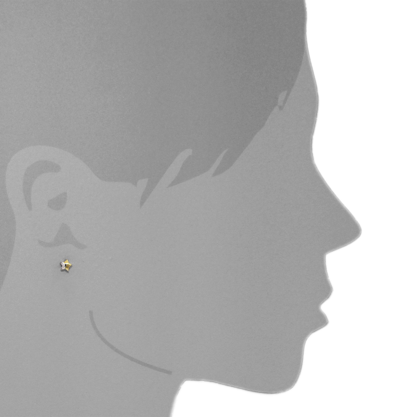 OSTSEE-SCHMUCK Paar Ohrstecker »- Stern - Gold 333/000 - Zirkonia«