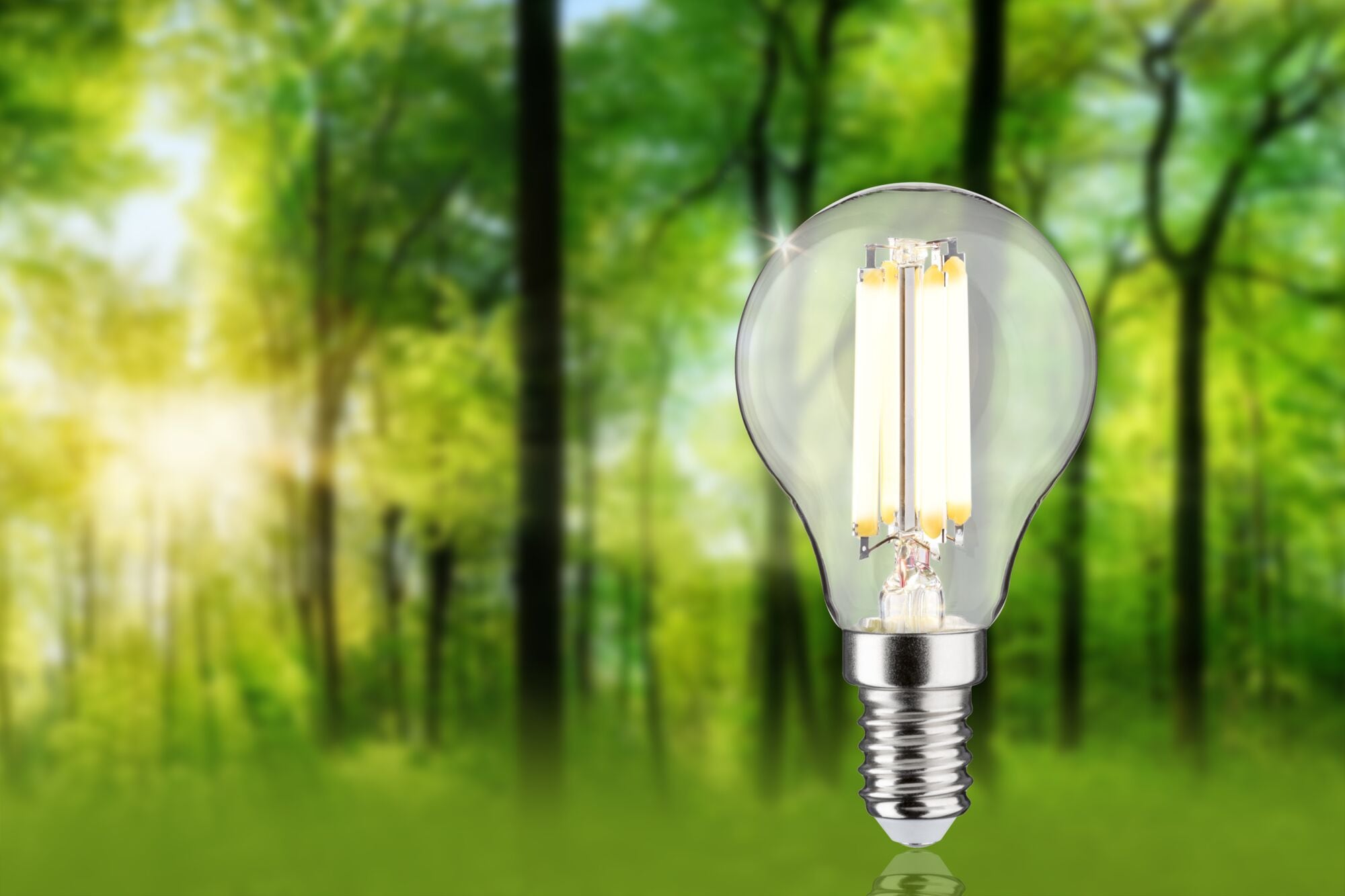 Paulmann LED-Leuchtmittel »Eco-Line Filament 230V LED Tropfen E14 1er-Set 525lm 2,5W 3000K Klar« E14 1 Stk. Warmweiß