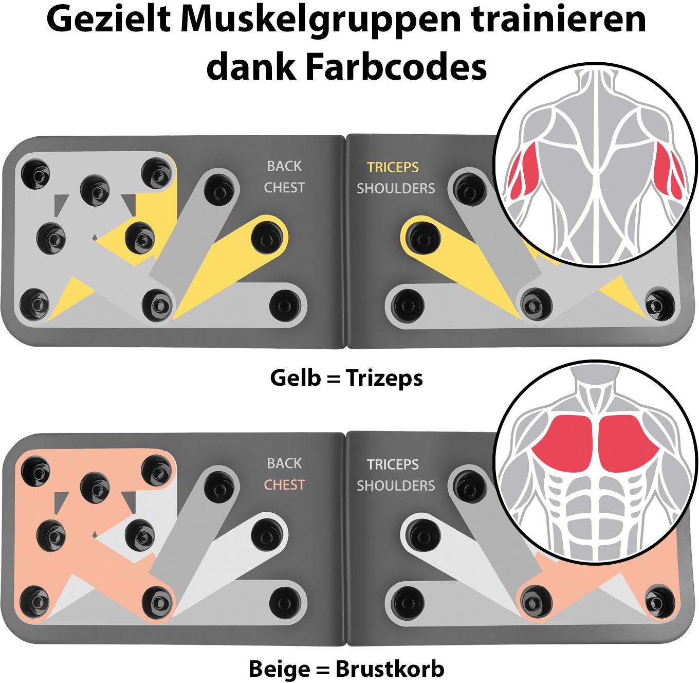 MAXXMEE Liegestützgriffe »Trainingsboard Push-Up«, (4 St.)