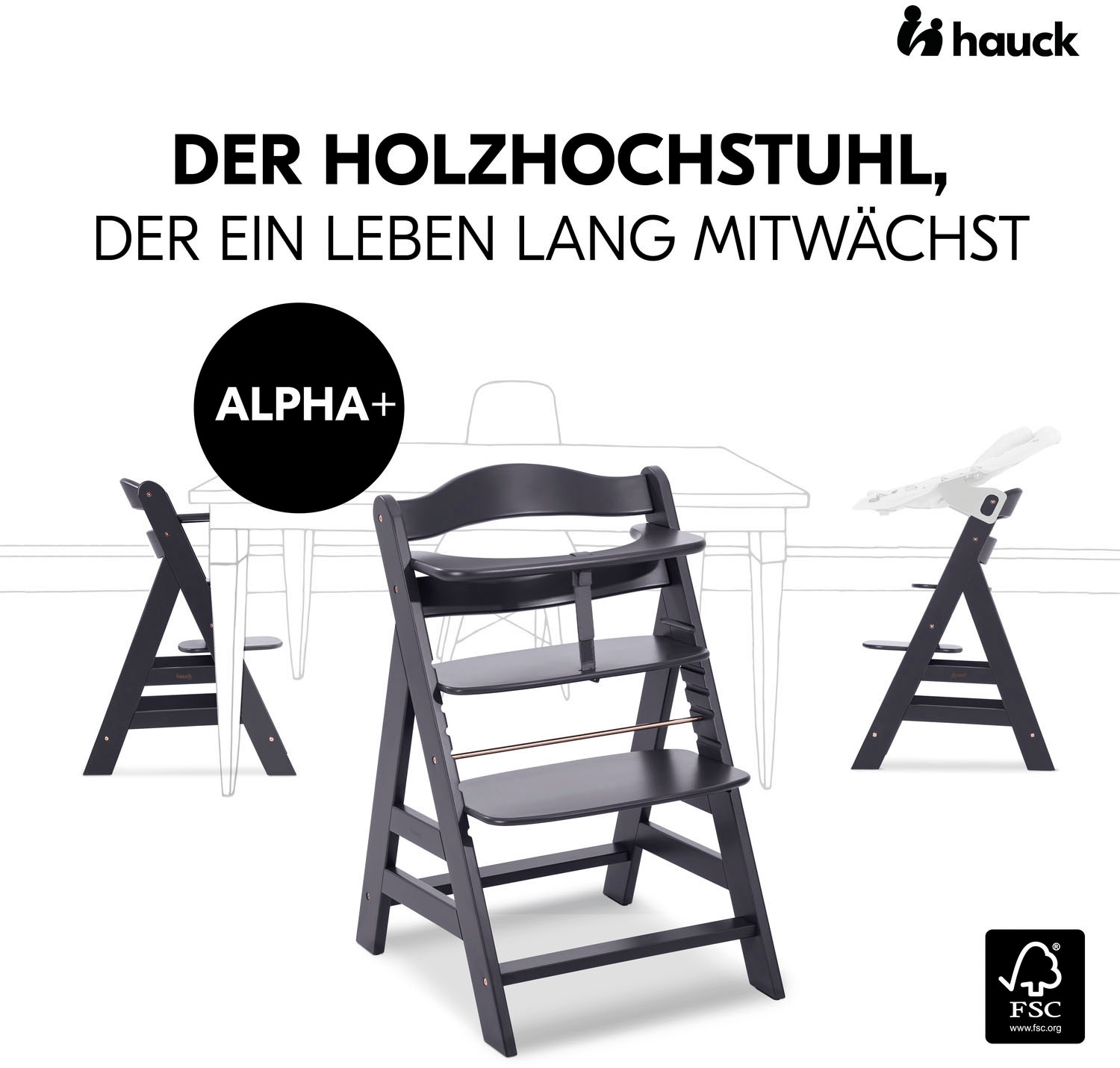 Hauck Hochstuhl »Alpha+, Dark grey«, FSC® - schützt Wald - weltweit