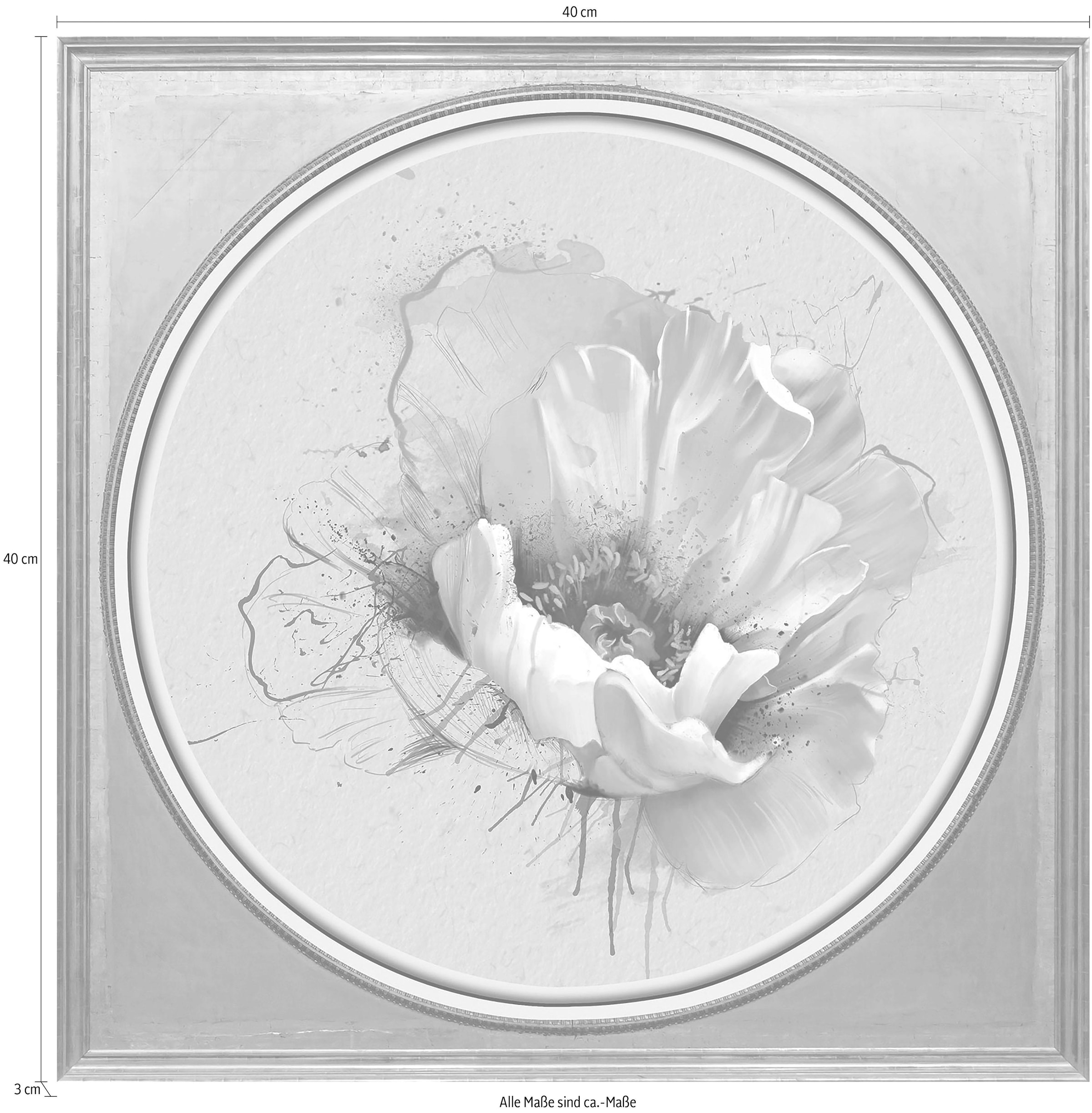 queence Acrylglasbild »Weiße Blüte«