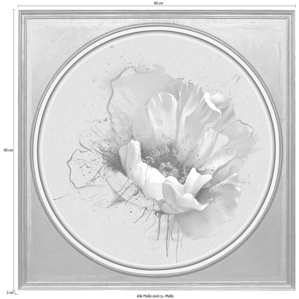 queence Acrylglasbild »Weiße Blüte«