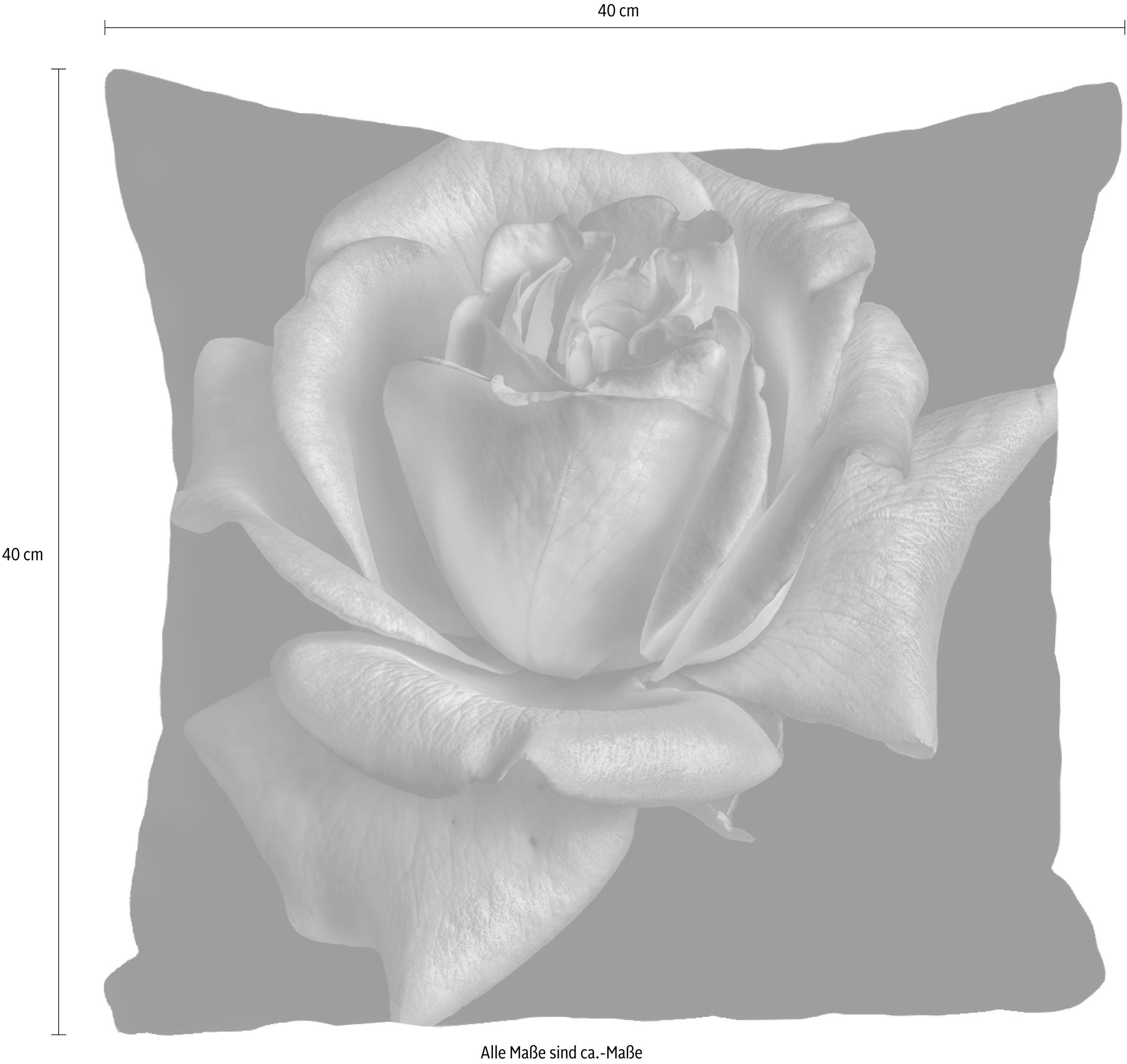 queence Dekokissen »Blüte« Kissenhülle ohne Füllung, 1 Stück