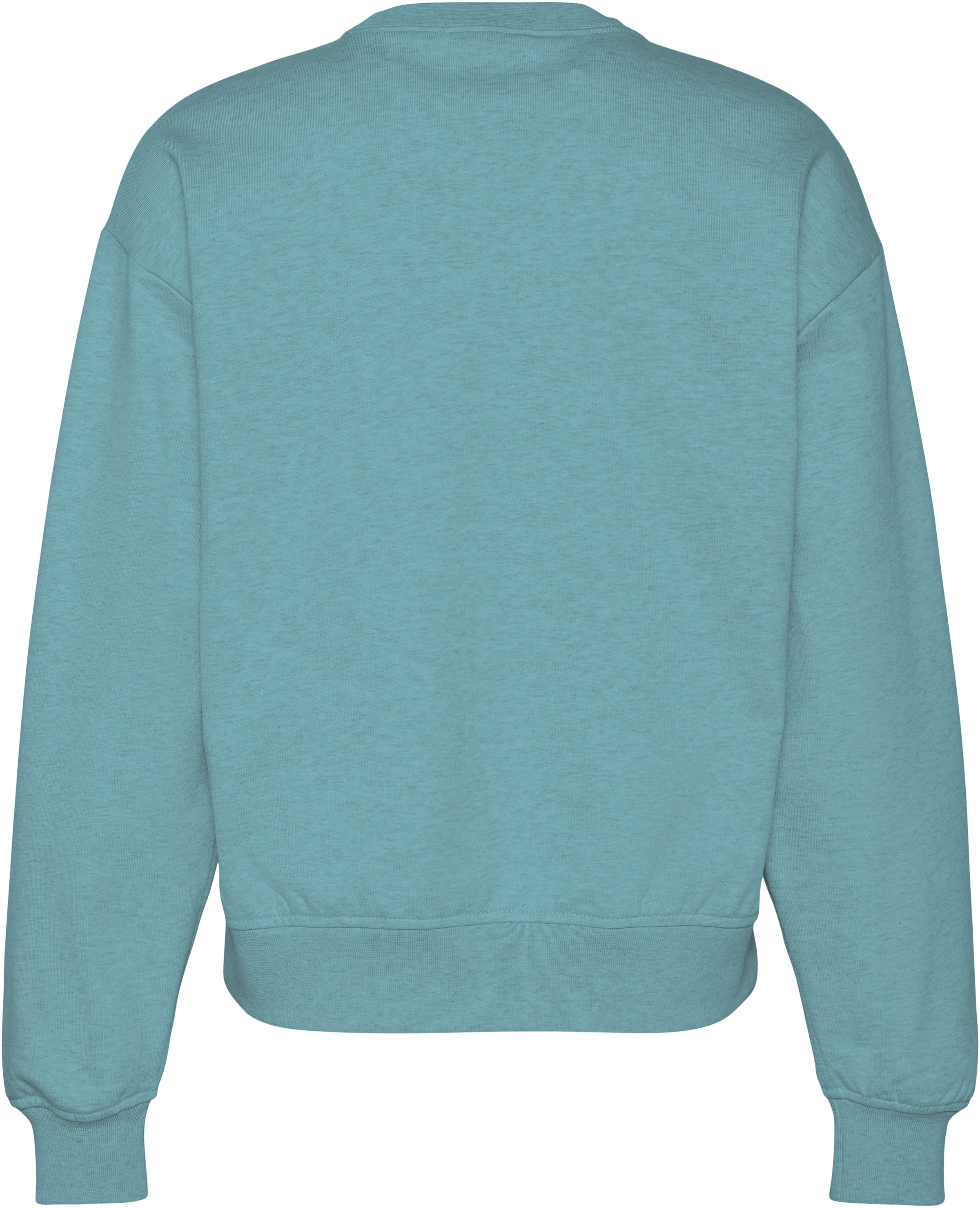 Calvin Klein Jeans Sweatshirt »LS MONOLOGO FRENCH TERRY RLXD CR«, , Logoschriftzug
