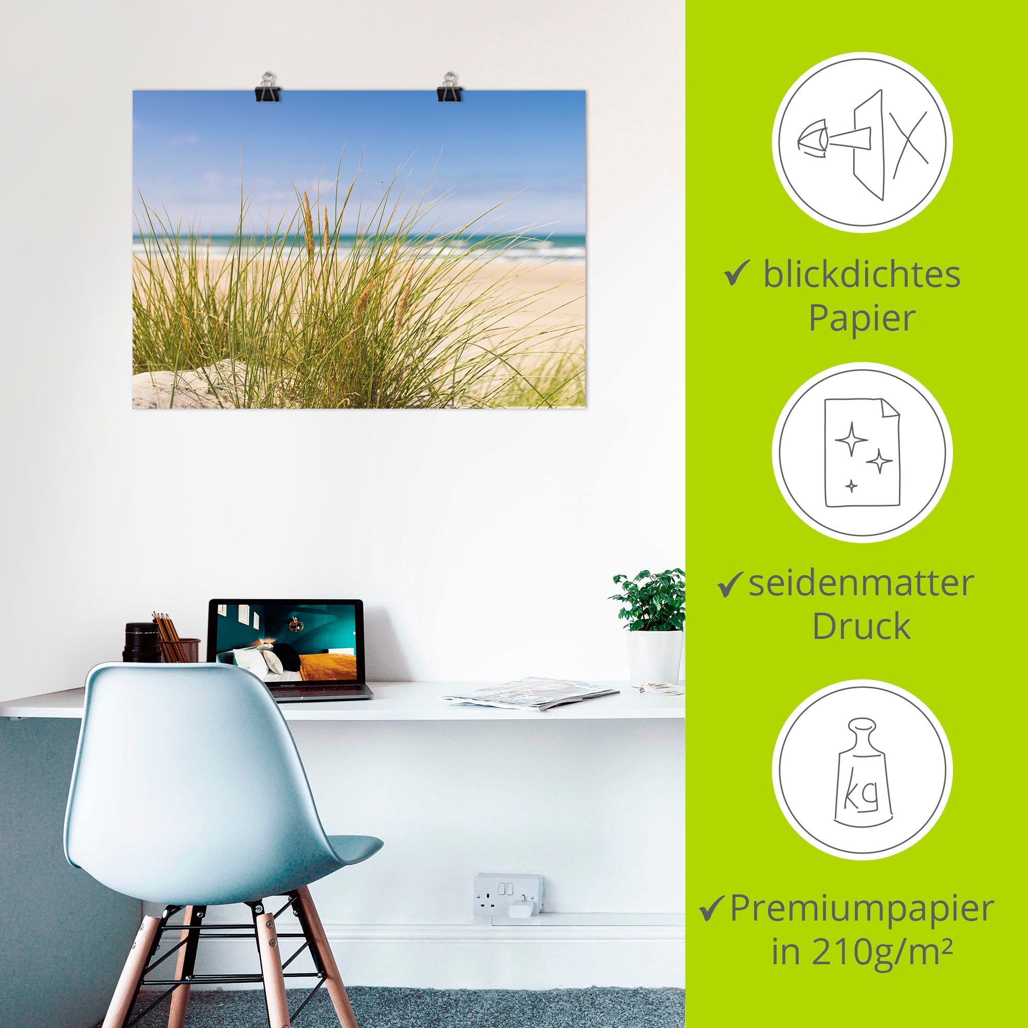 Artland Wandbild »Dünengras«, Strand, (1 St.), als Alubild, Outdoorbild, Leinwandbild, Poster in verschied. Größen