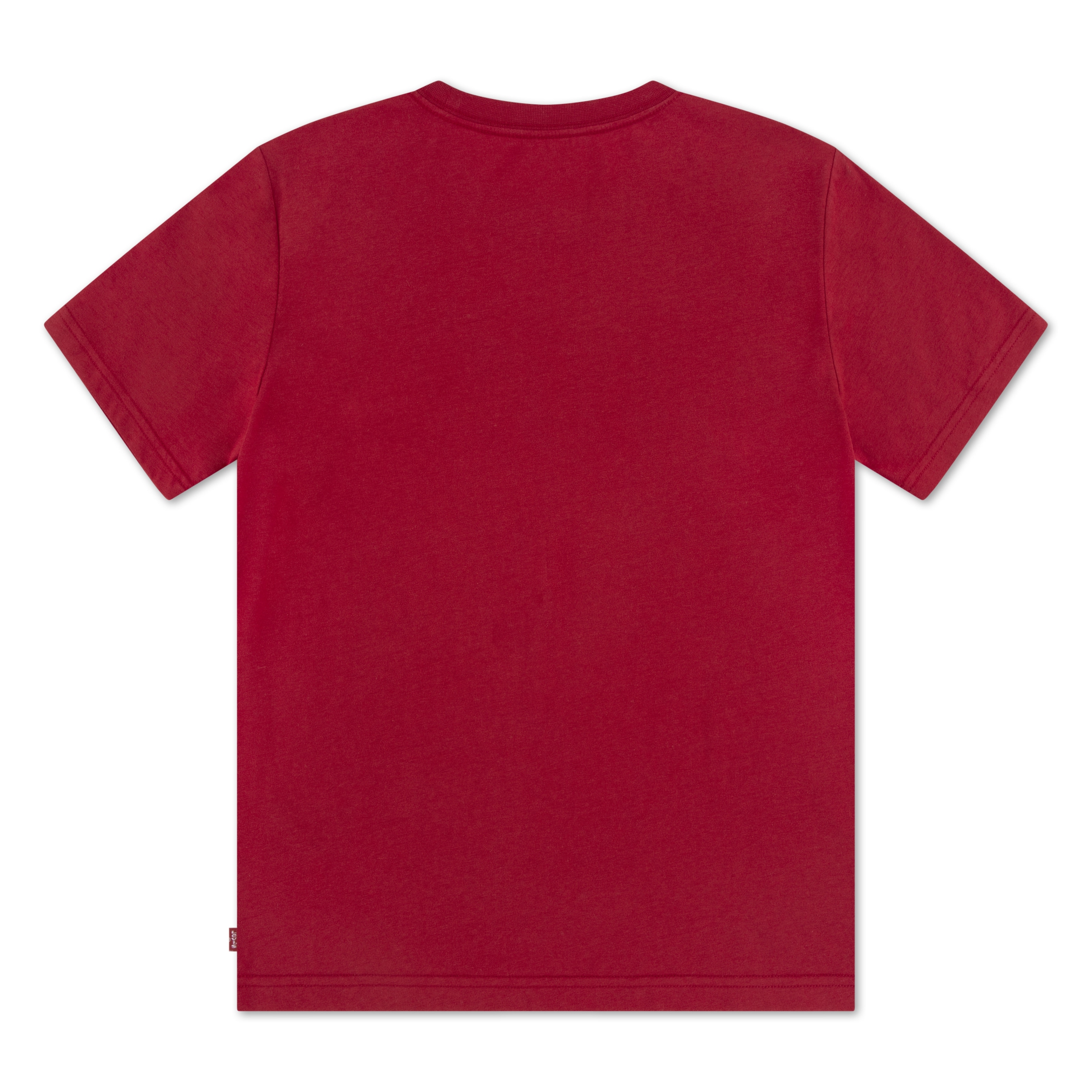 Levi's® Kids T-Shirt »LVB BARBECUE BATWING TEE« mit Print, for Boys