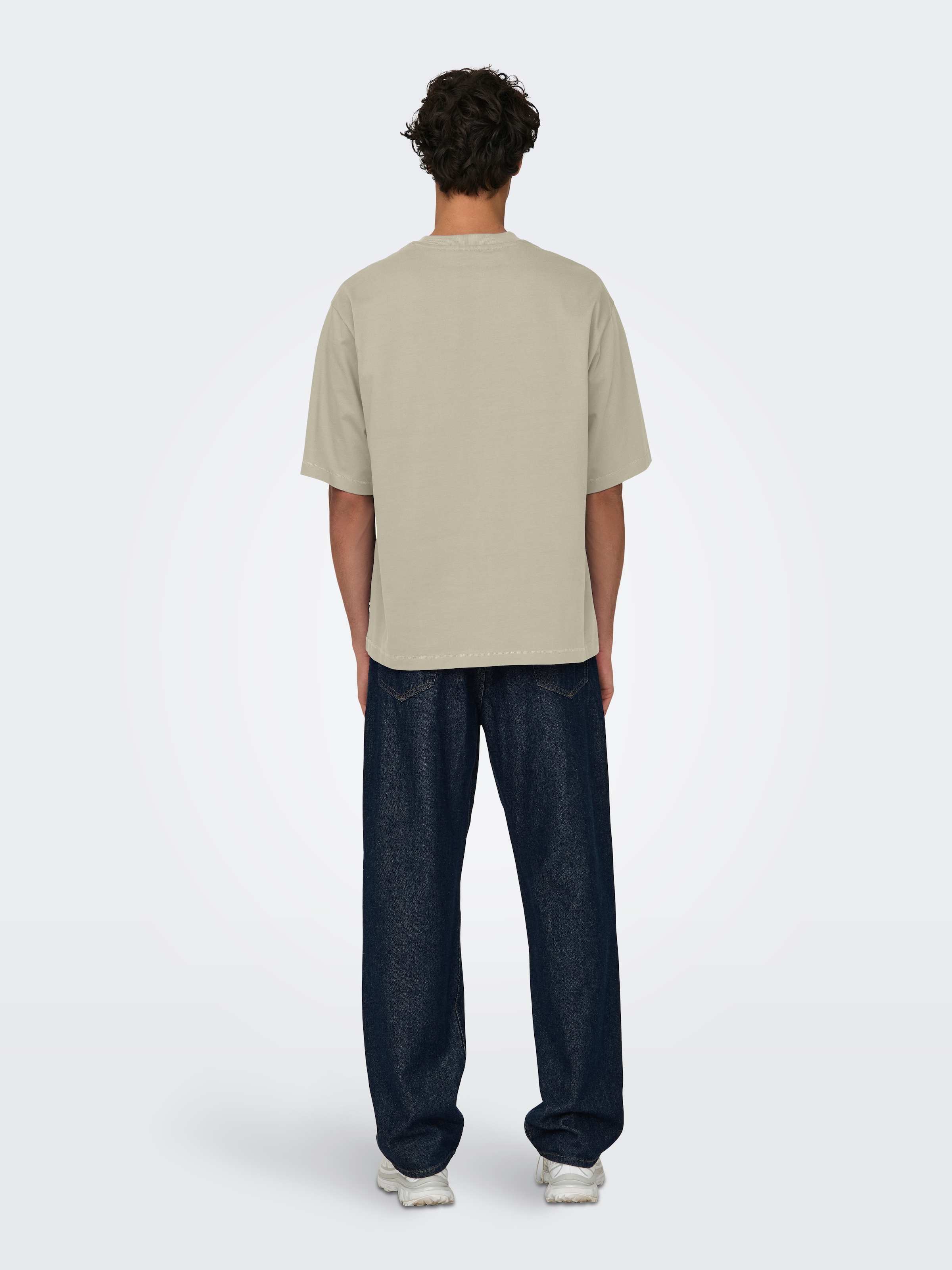 ONLY & SONS Rundhalsshirt »ONSMILLENIUM OVZ SS TEE NOOS«
