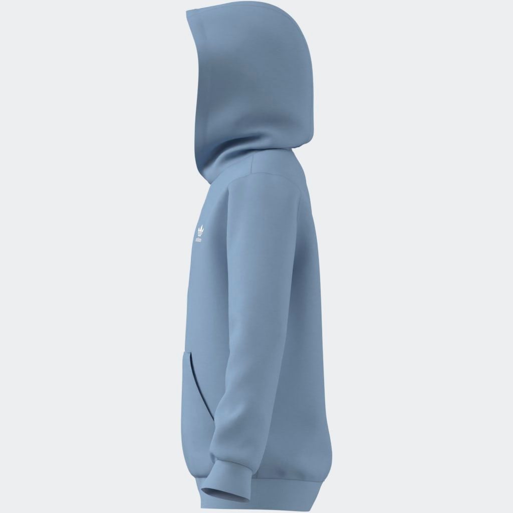 adidas Originals Kapuzensweatshirt »HOODIE«