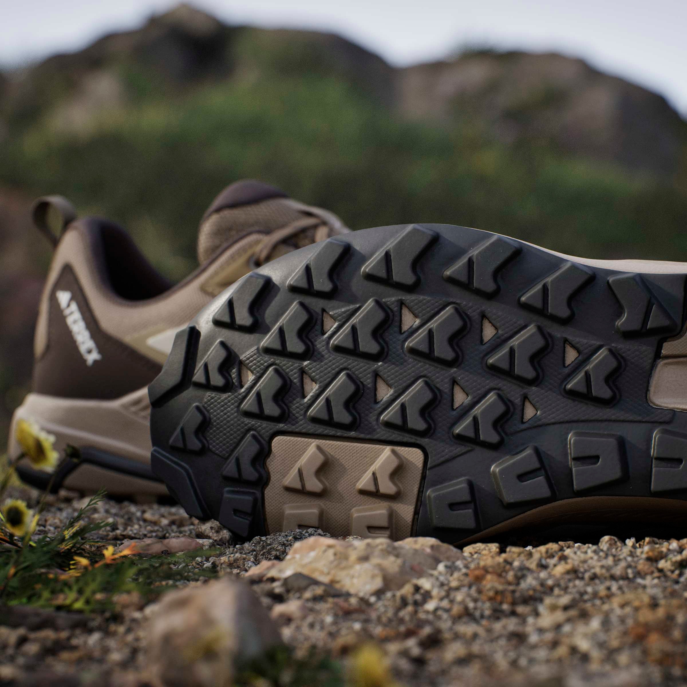 adidas TERREX Wanderschuh »ANYLANDER«