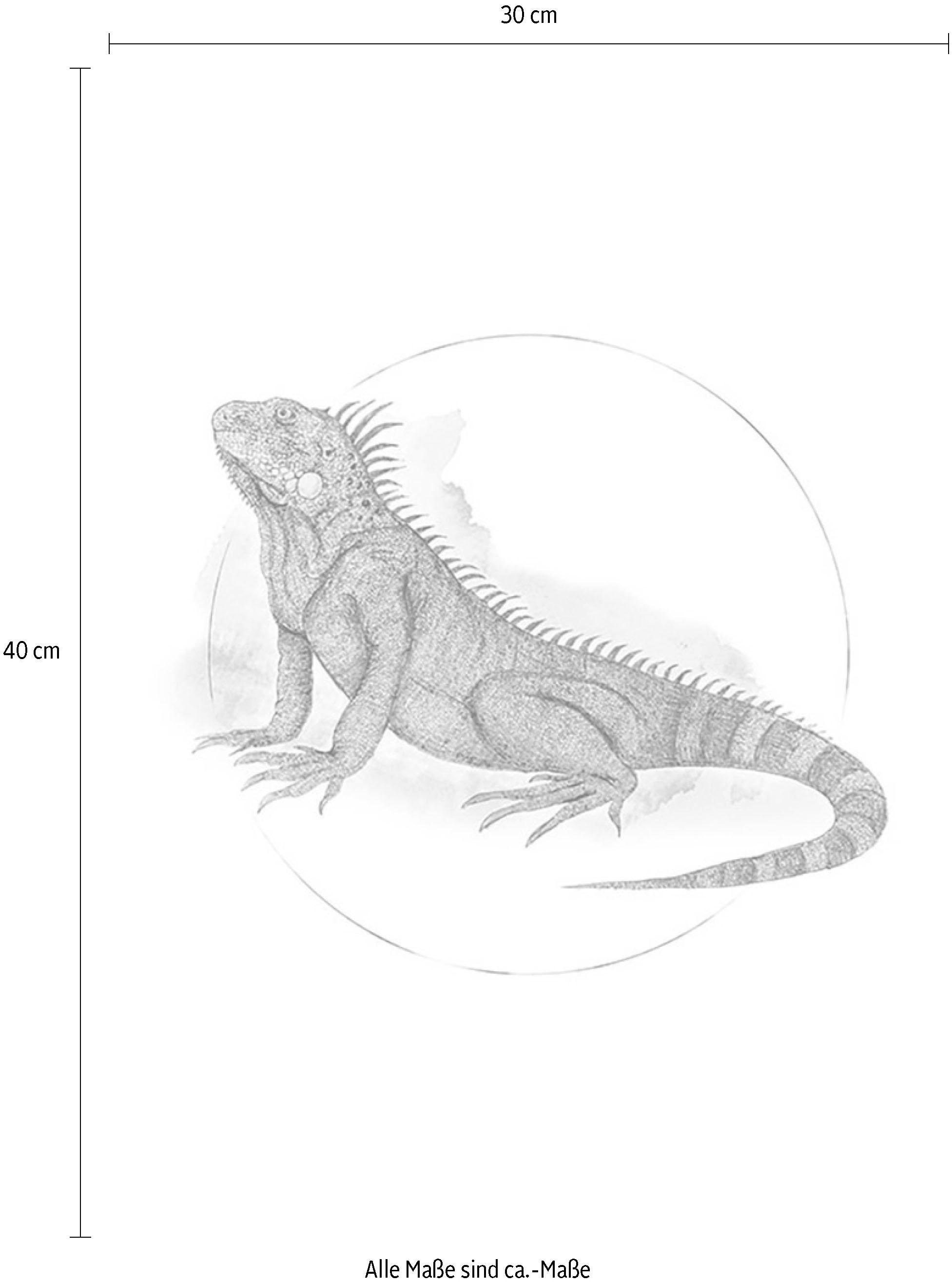 Komar Bild »Iguana Watercolor« Tiere 1 Stk. tlg. Wandbild zur Dekoration - ohne Rahmen