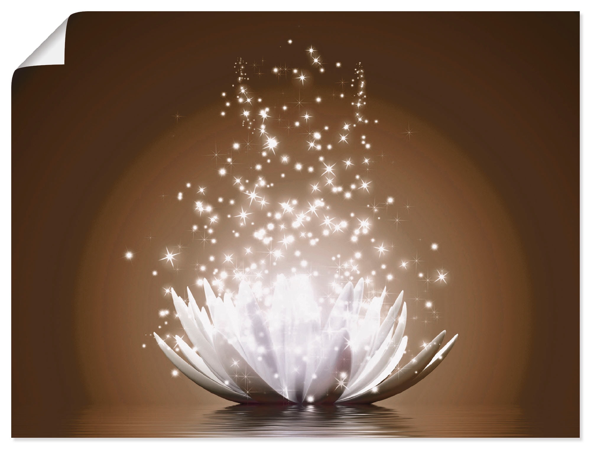 Artland Wandbild »Magie der Lotus-Blume«, Blumen, (1 St.), als Alubild, Leinwandbild,... kaufen