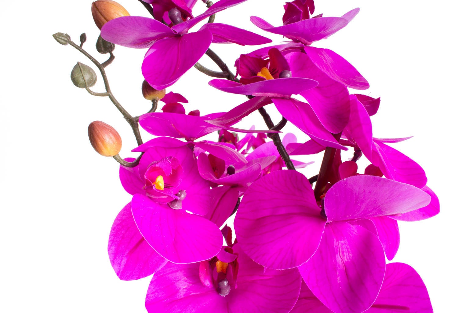 Botanic-Haus Kunstorchidee »Orchidee Bora«, (1 St.) Shop im Online kaufen OTTO