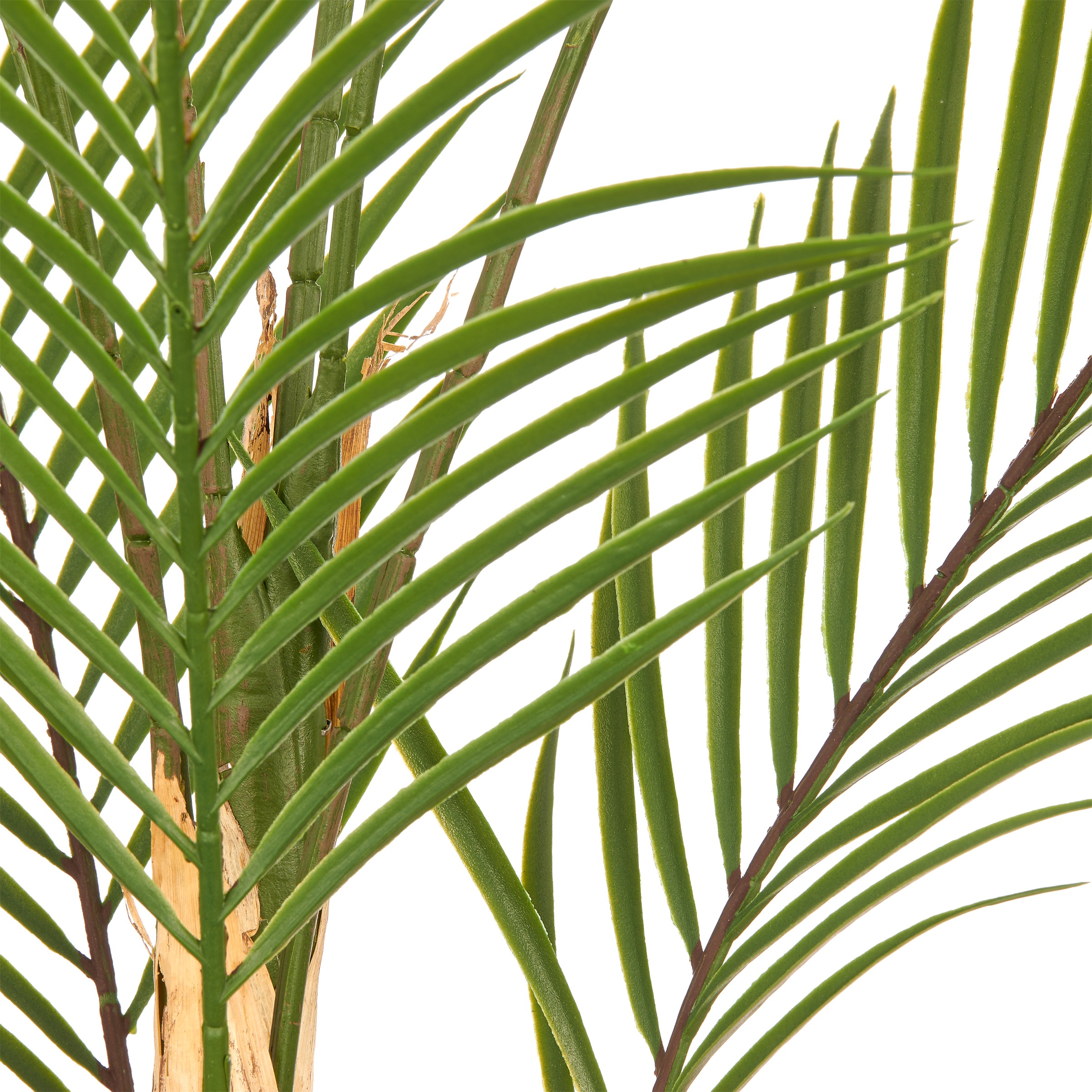 Creativ green Kunstpalme »Phönixpalme« mit naturgetreuen Palmwedeln