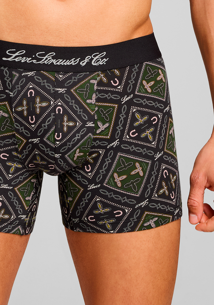 Levi's® Boxershorts »LEVIS MEN WESTERN AOP BOXER BRIEF 2P«, (2er Pack)