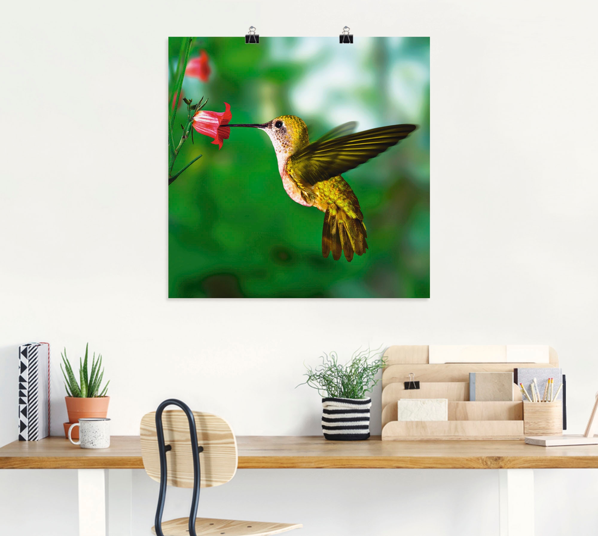 Artland Wandbild »Kolibri«, Vögel, (1 St.), als Alubild, Outdoorbild, Leinwandbild, Poster in verschied. Größen