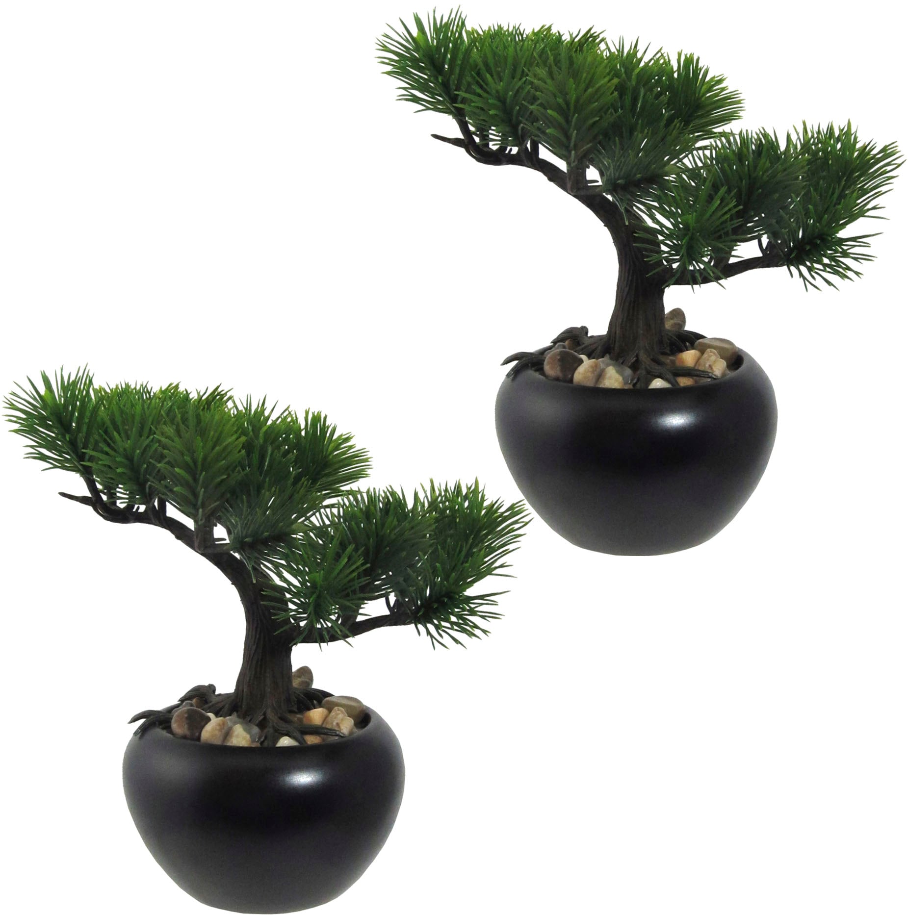 Creativ green Kunstbonsai »Bonsai Kiefer«, mit Kies
