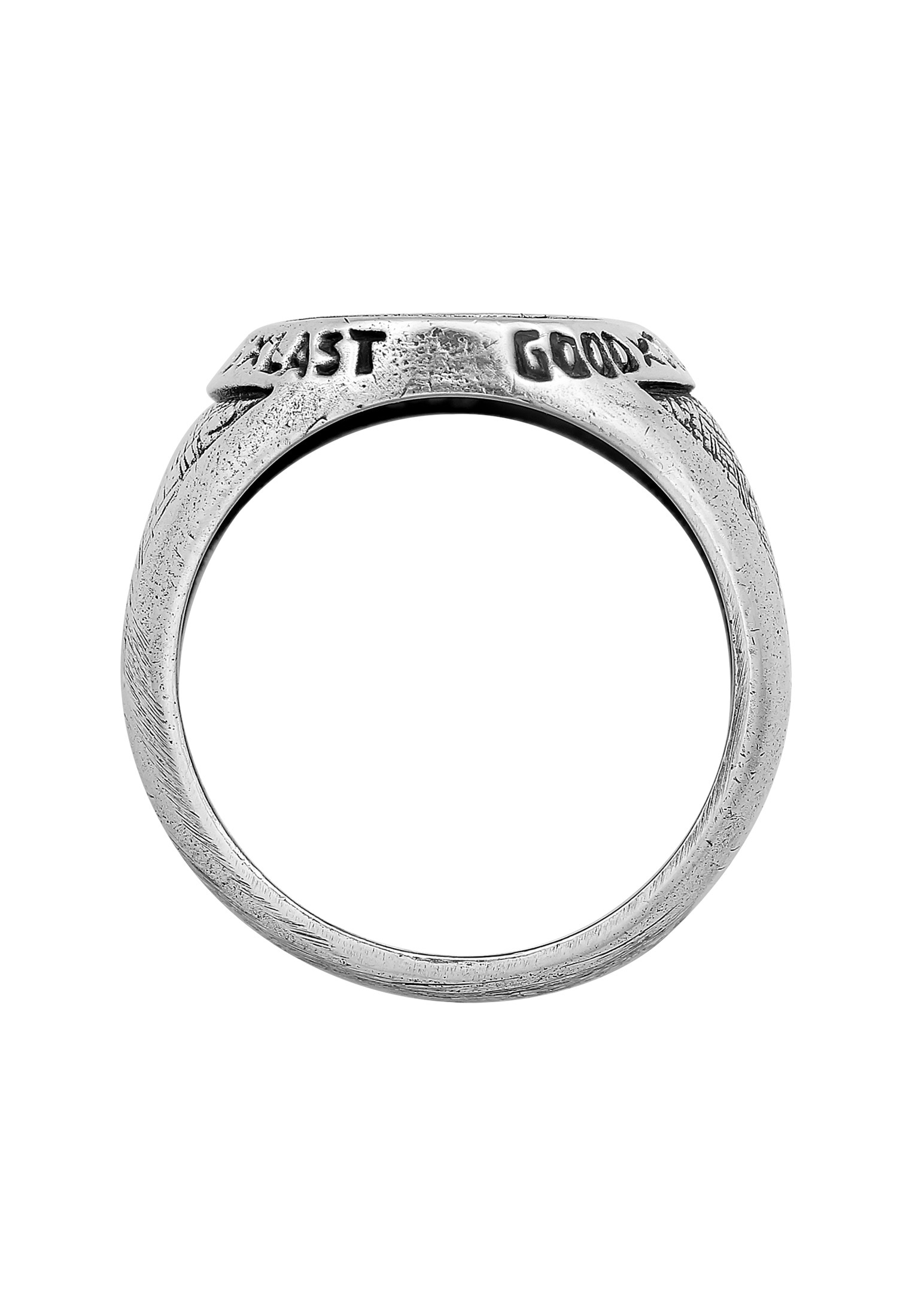 HAZE & GLORY Siegelring »Ring Siegelring - Twin Tiger 925 Silber«