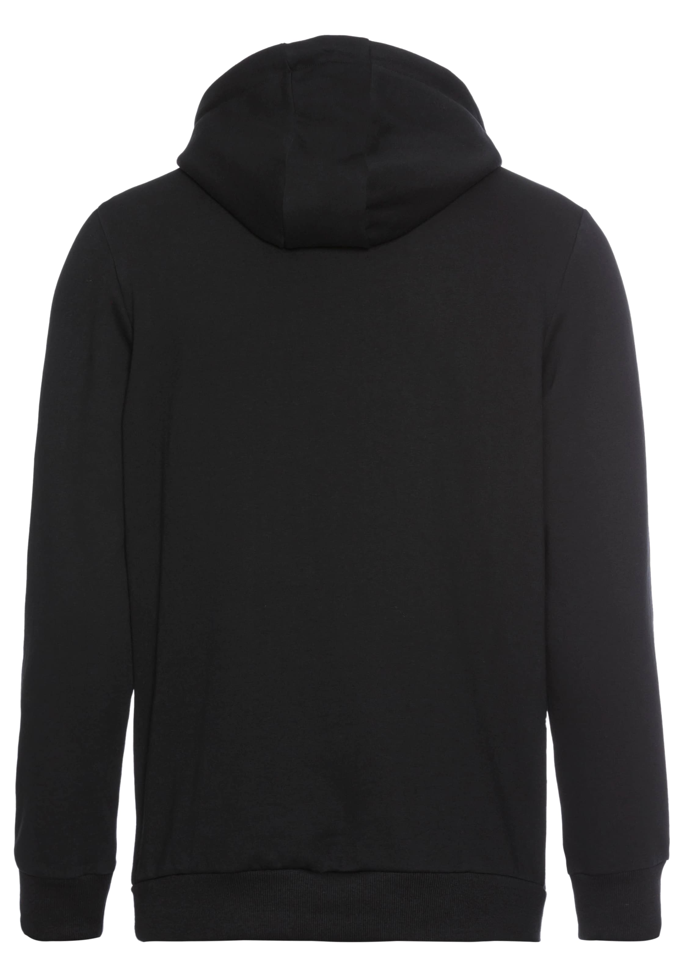 Bruno Banani Kapuzensweatshirt, mit modernem Logodruck