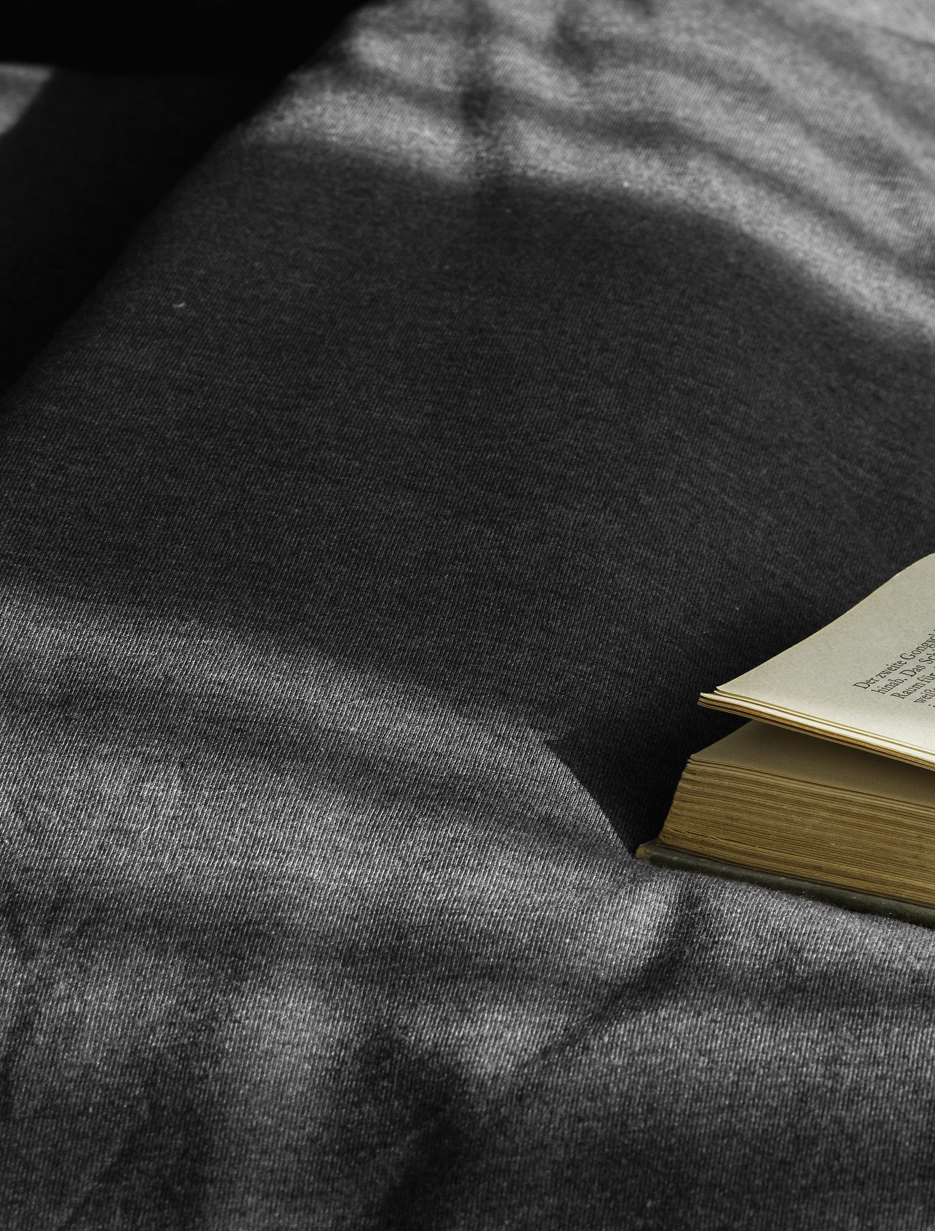 BIERBAUM Bettwäsche »4135« 2 Stk. tlg. Jersey-Melange, 100 % Baumwolle, bügelfrei