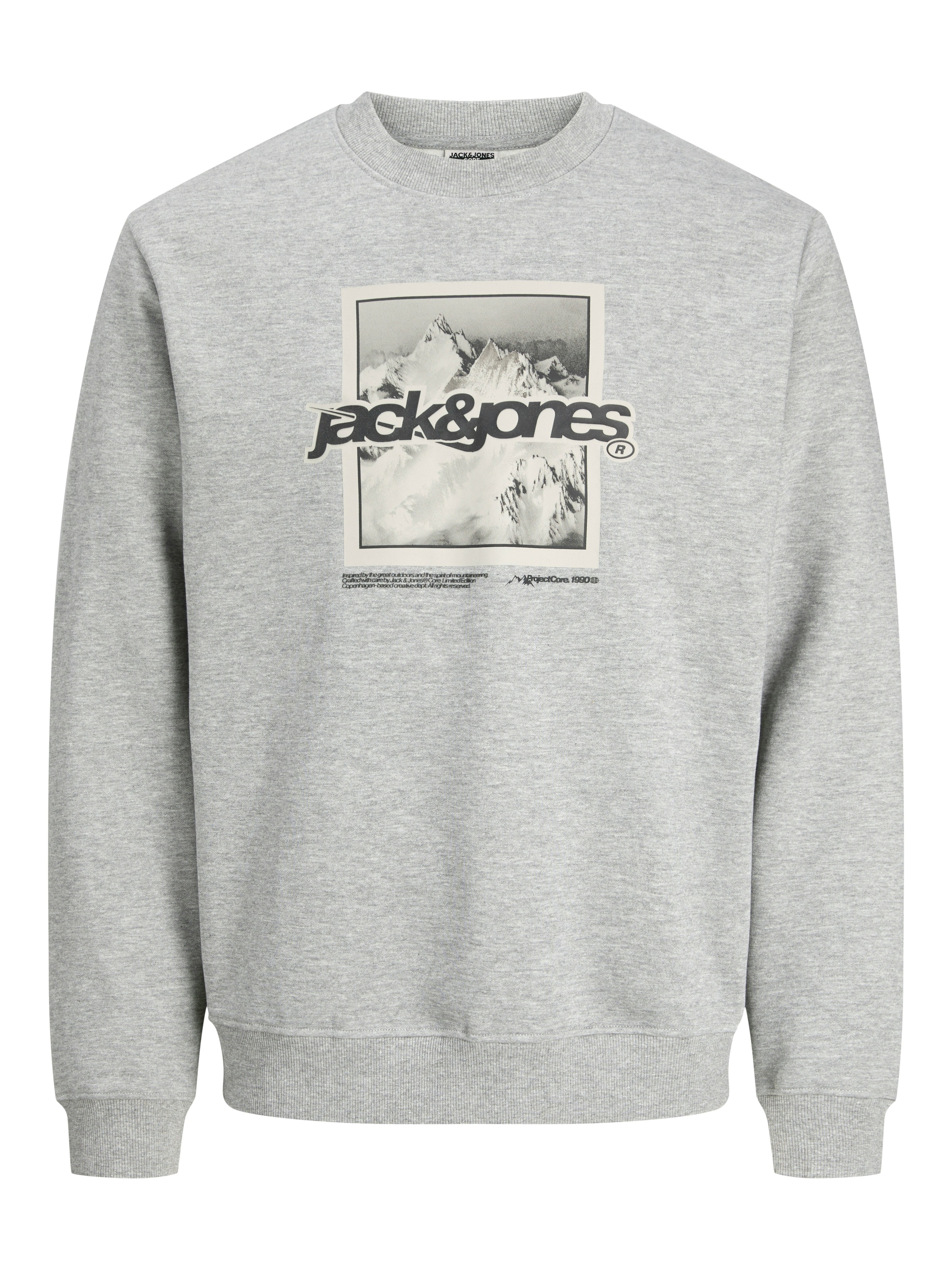 Jack & Jones Kapuzensweatshirt »JCOFLARE FRONT PRINT SWEAT CREW NECK«
