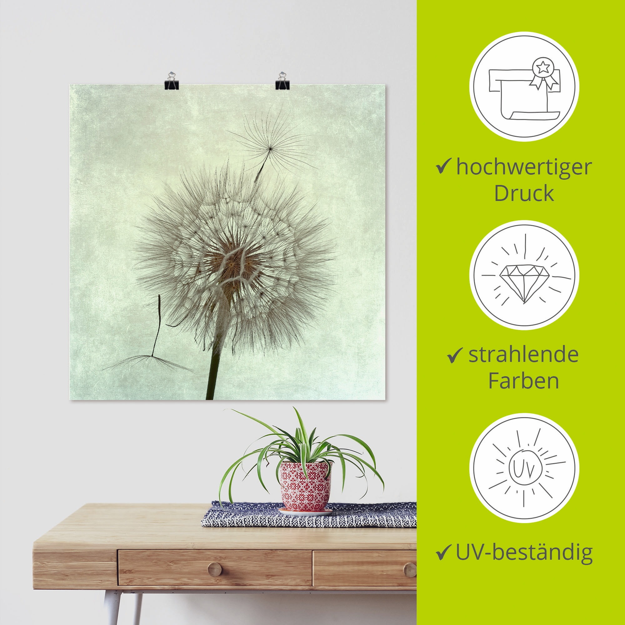 Artland Wandbild »Pusteblume II«, Blumen, (1 St.), als Leinwandbild, Poster, Wandaufkleber in verschied. Größen