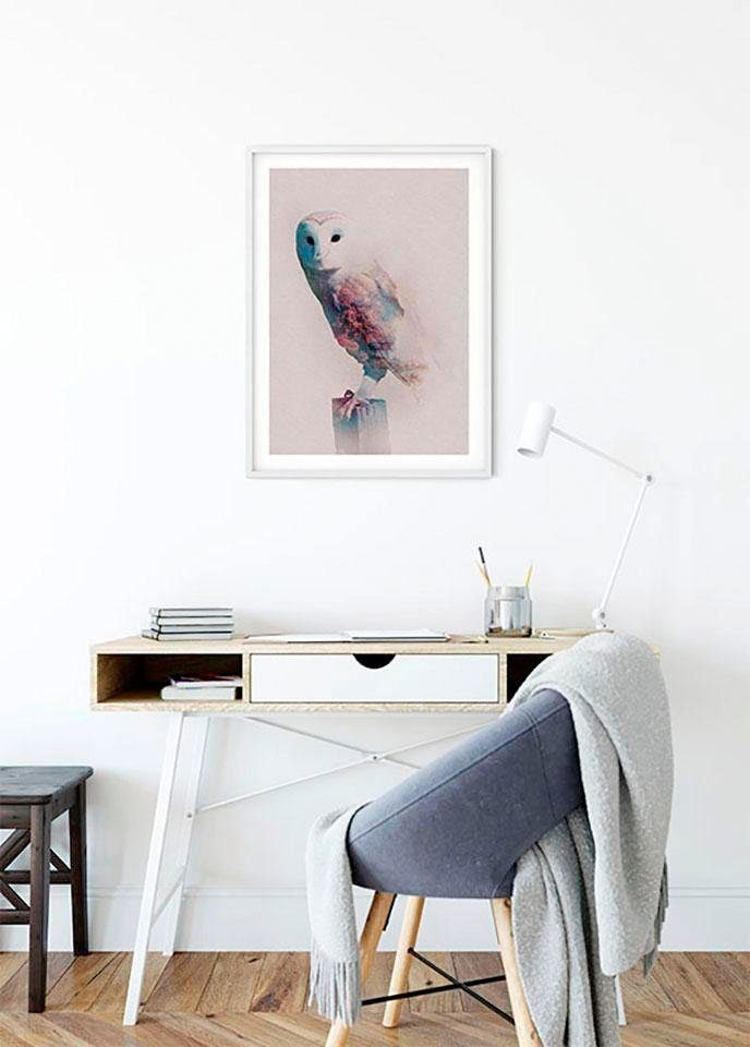 Komar Bild »Animals Forest Owl«, Tiere, (1 St.), Wandbild zur Dekoration - ohne Rahmen