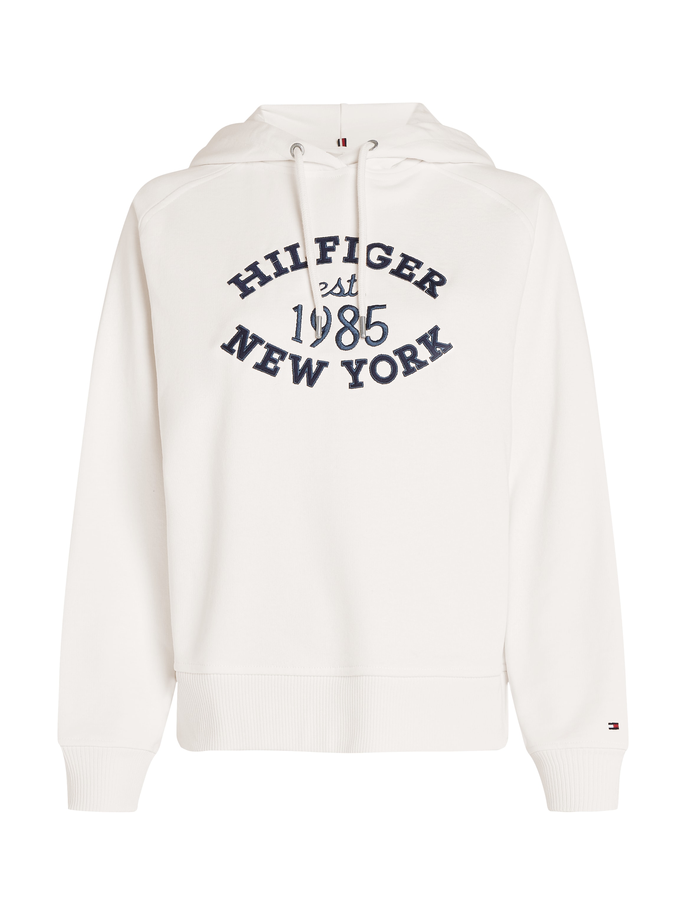 Tommy Hilfiger Curve Kapuzensweatshirt »CRV REG HILFIGER VARSITY HOODIE«, Große Größen