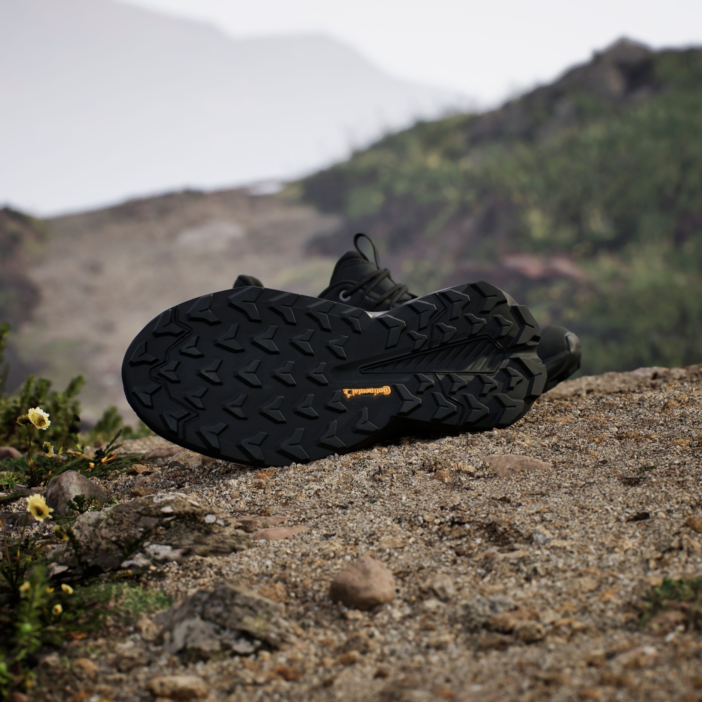 adidas TERREX Wanderschuh »TERREX TRAILMAKER 2.0 LEATHER«, aus Leder