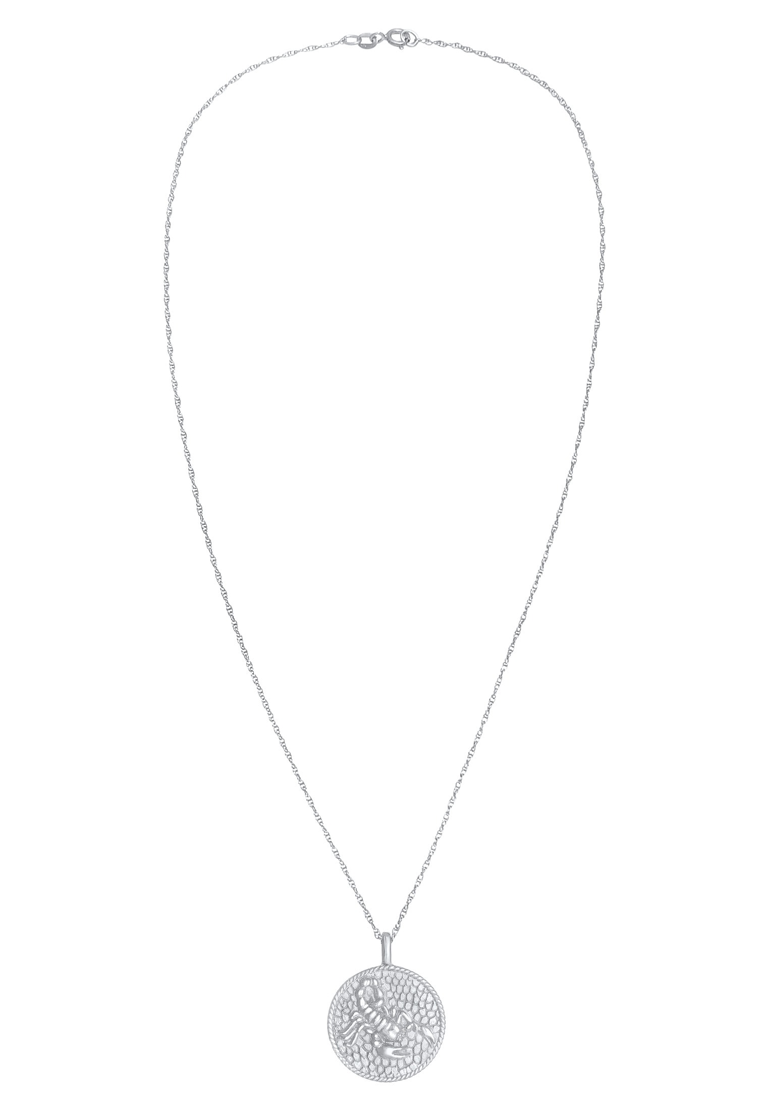 Elli Kette mit Anhänger »Halskette Sternzeichen Skorpion Zodiac Münze 925 Silber«