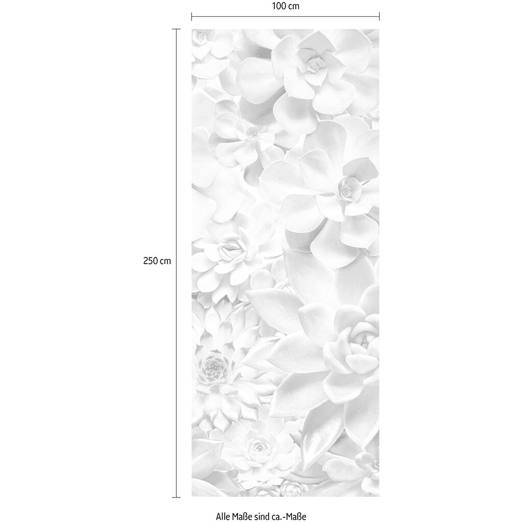 Komar Vliestapete »Shades Black and White Panel«
