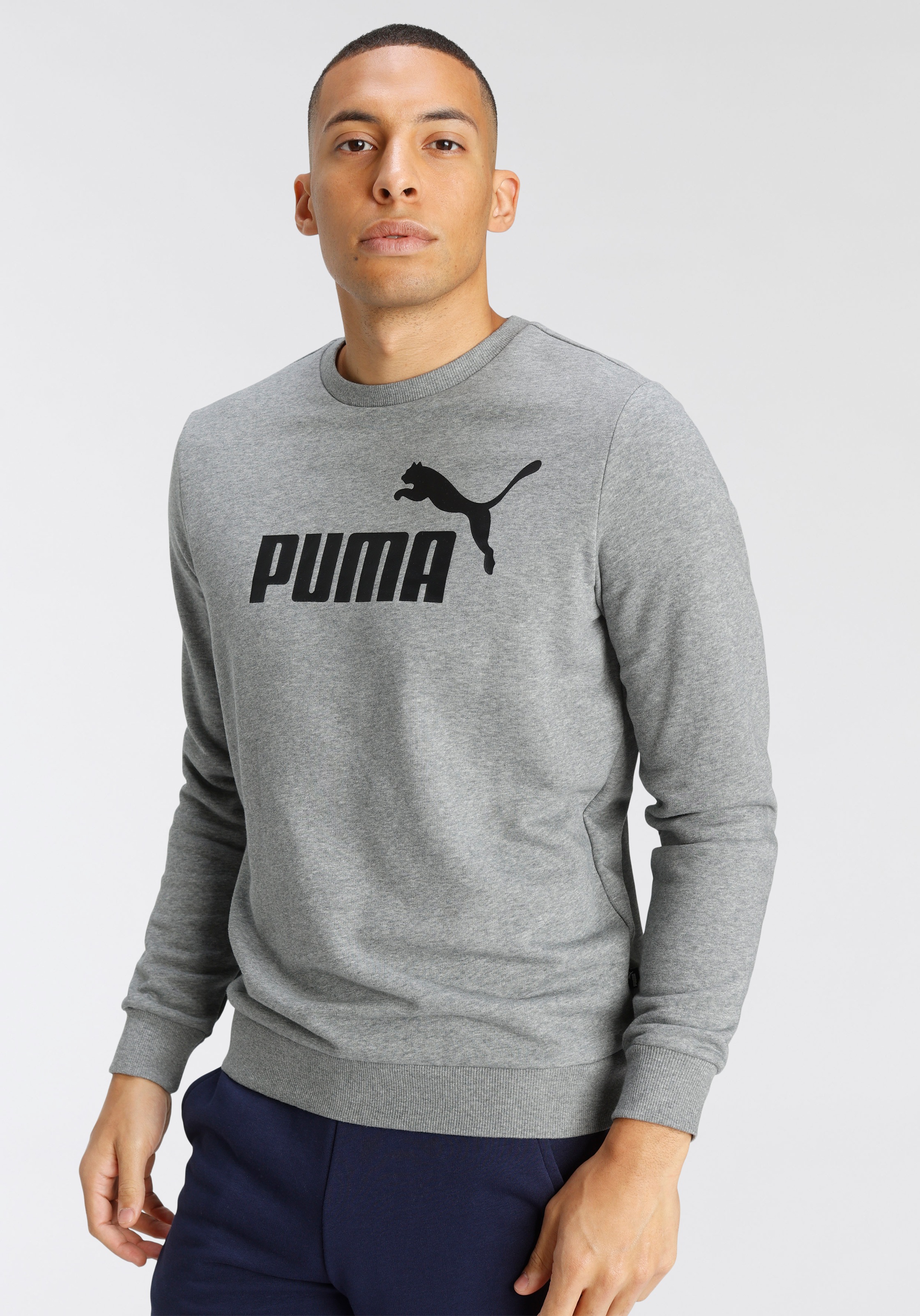 PUMA Sweatshirt »BIG LOGO CREW TR«