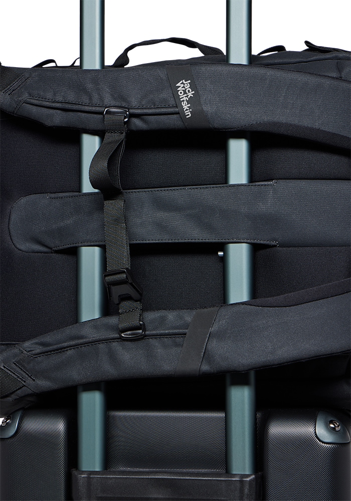 Jack Wolfskin Board Bag »TRAVELTOPIA CABIN PACK 40«