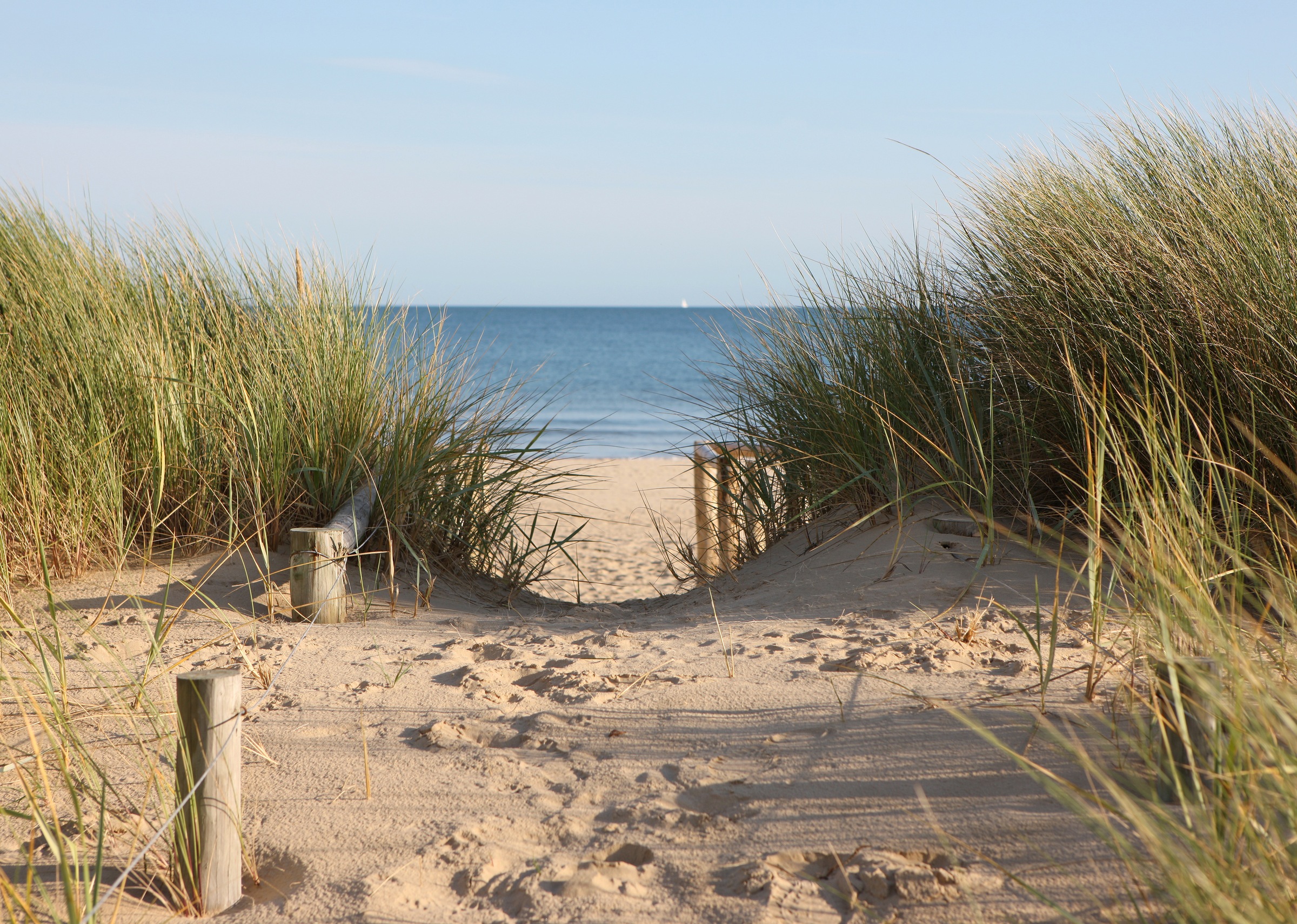 Papermoon Fototapete »Dunes in Dorset«