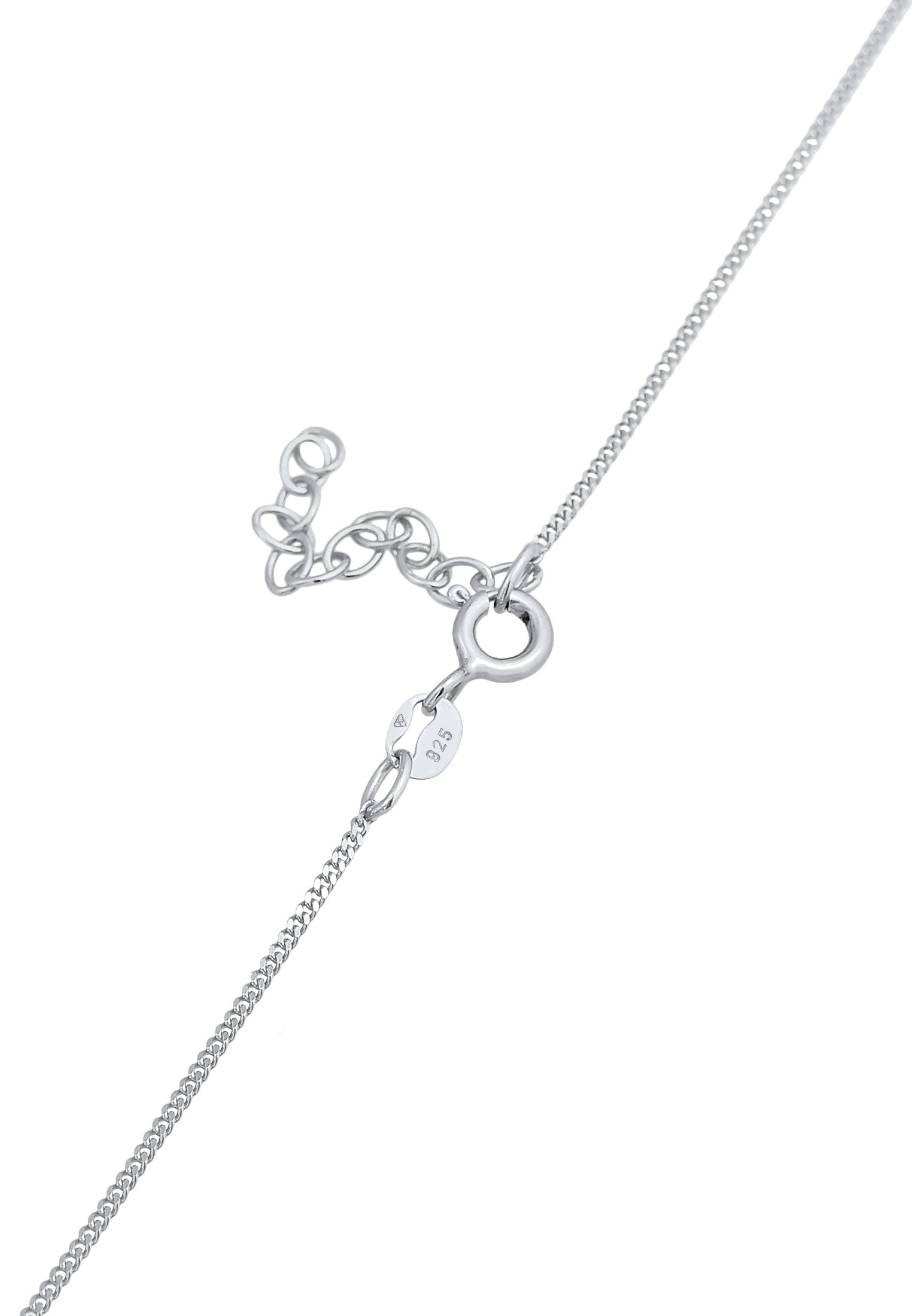 Elli Choker »Halskette Choker Schlange Snake 925 Silber«