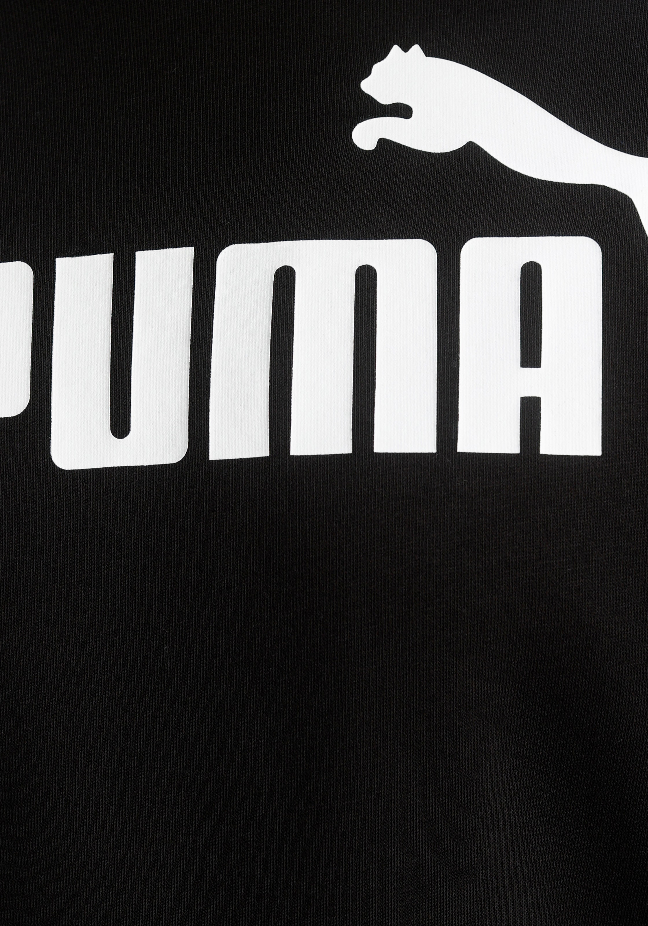 PUMA Kapuzensweatshirt »ESS BIG LOGO HOODIE TR«