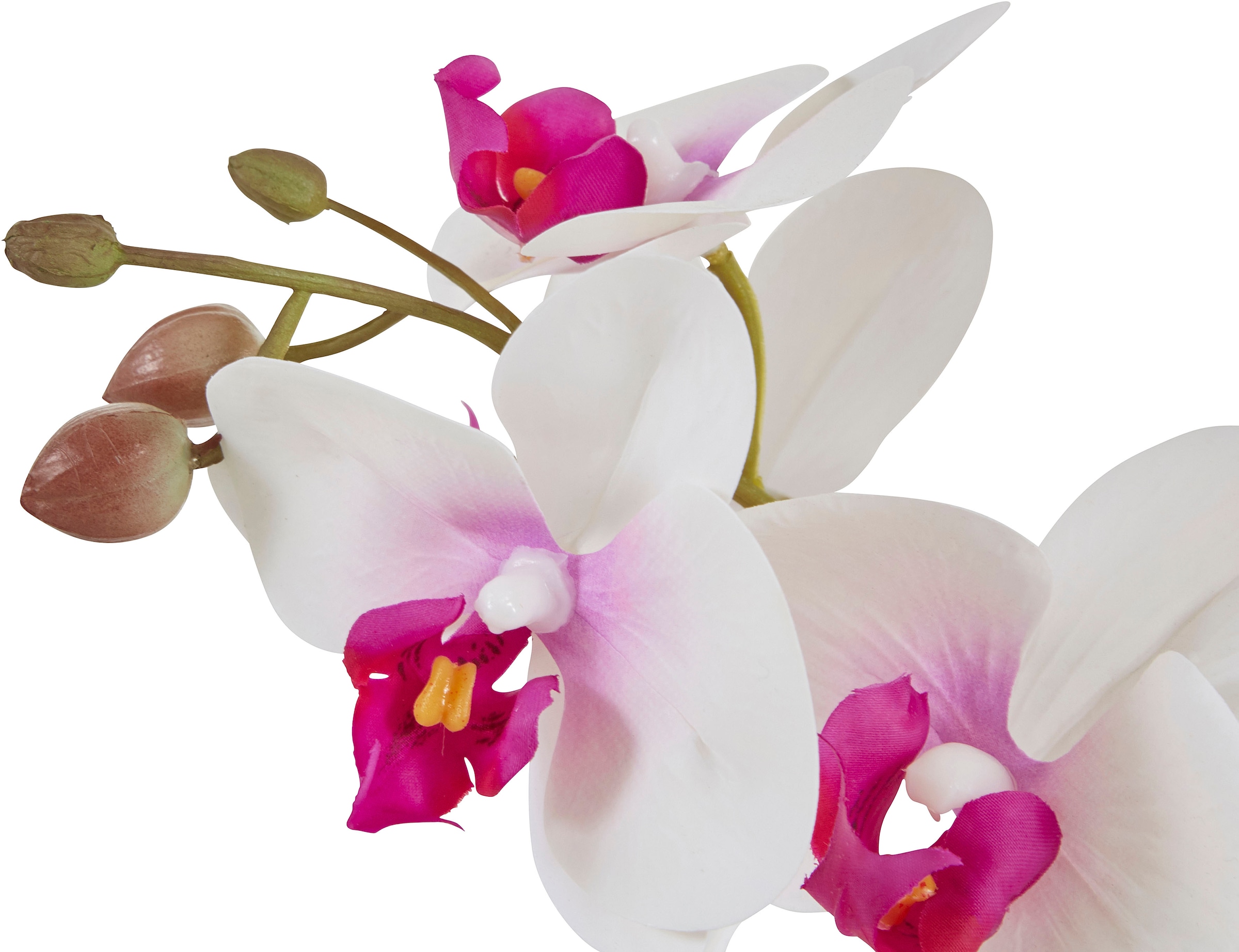 Home affaire Kunstpflanze »Orchidee«, Kunstorchidee, im Topf