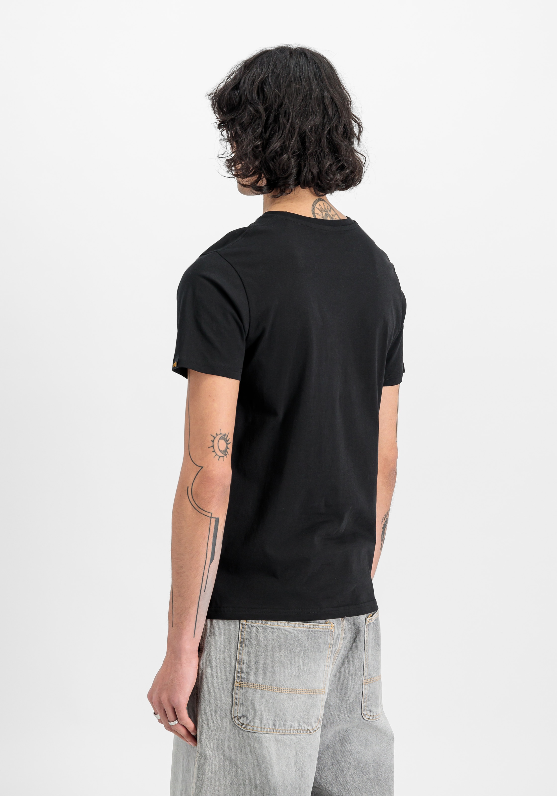 Alpha Industries Rundhalsshirt »Basic T 2 Pack« Set, 2 Stk.